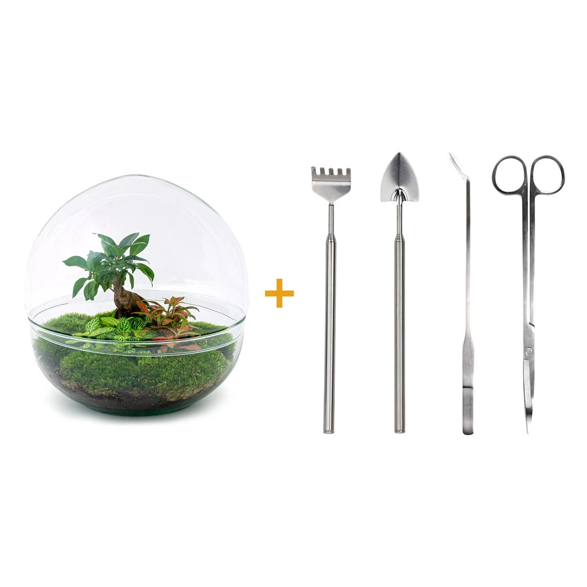Do-It-Yourself Flaschengarten Set