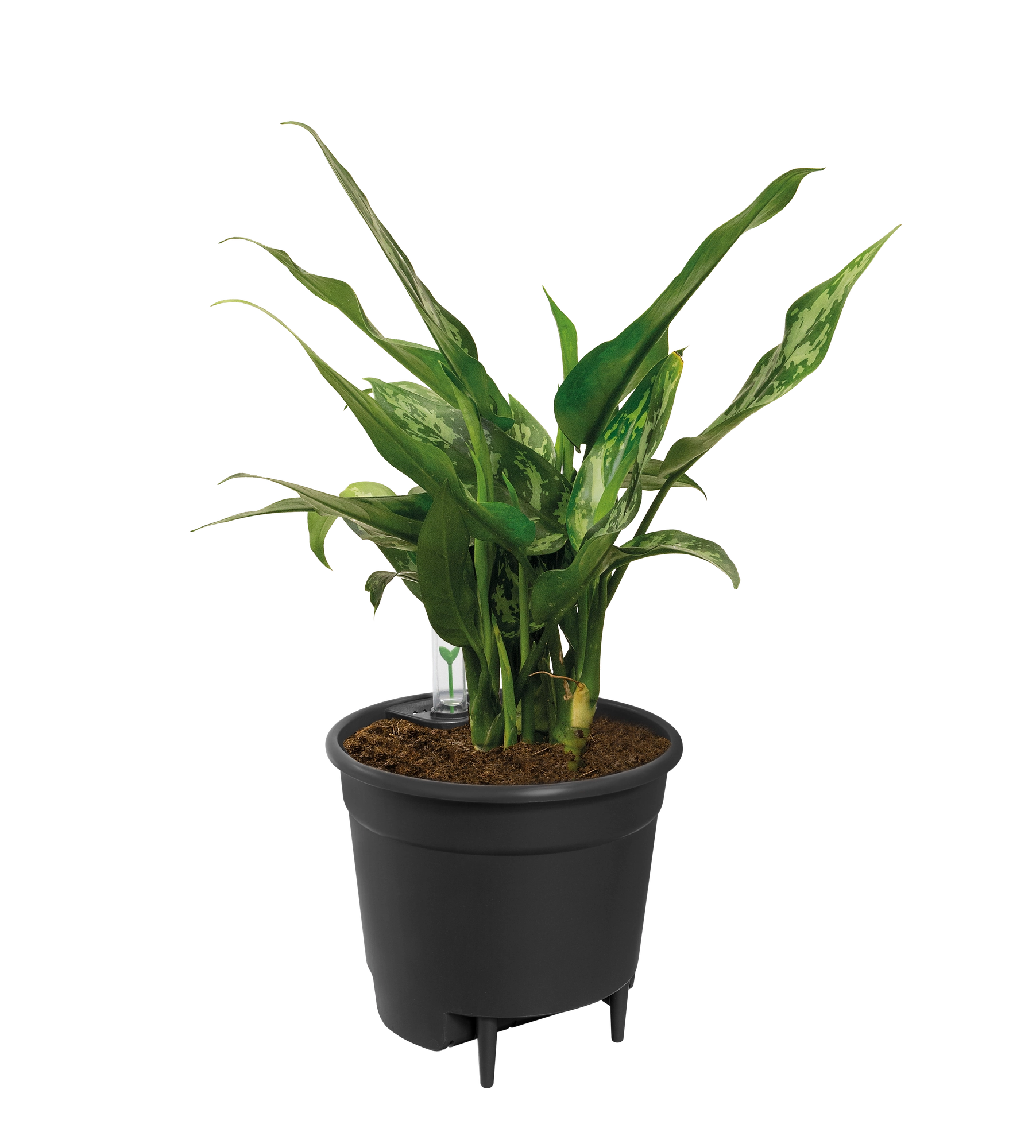 Self Watering Insert - 33 cm Bild 3