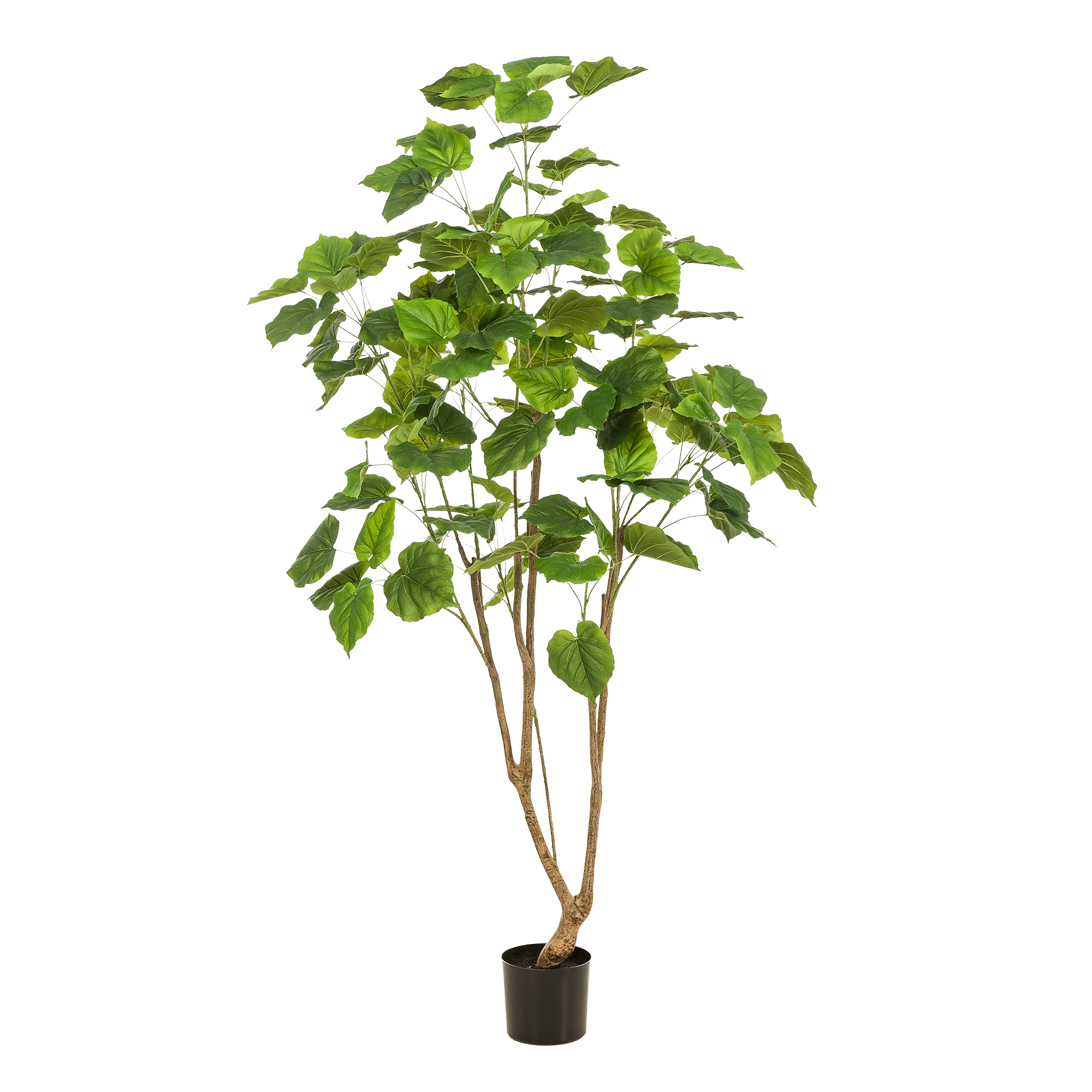 Ficus Umbellata – Kunstpflanze