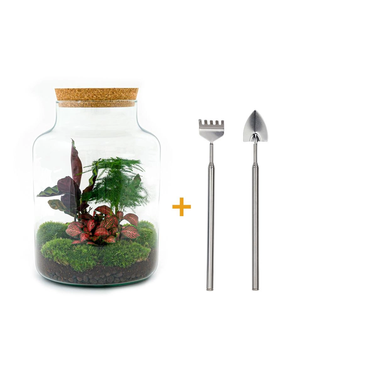 Flaschengarten - Milky - ↕ 30 cm - Rake + Shovel Bild 1