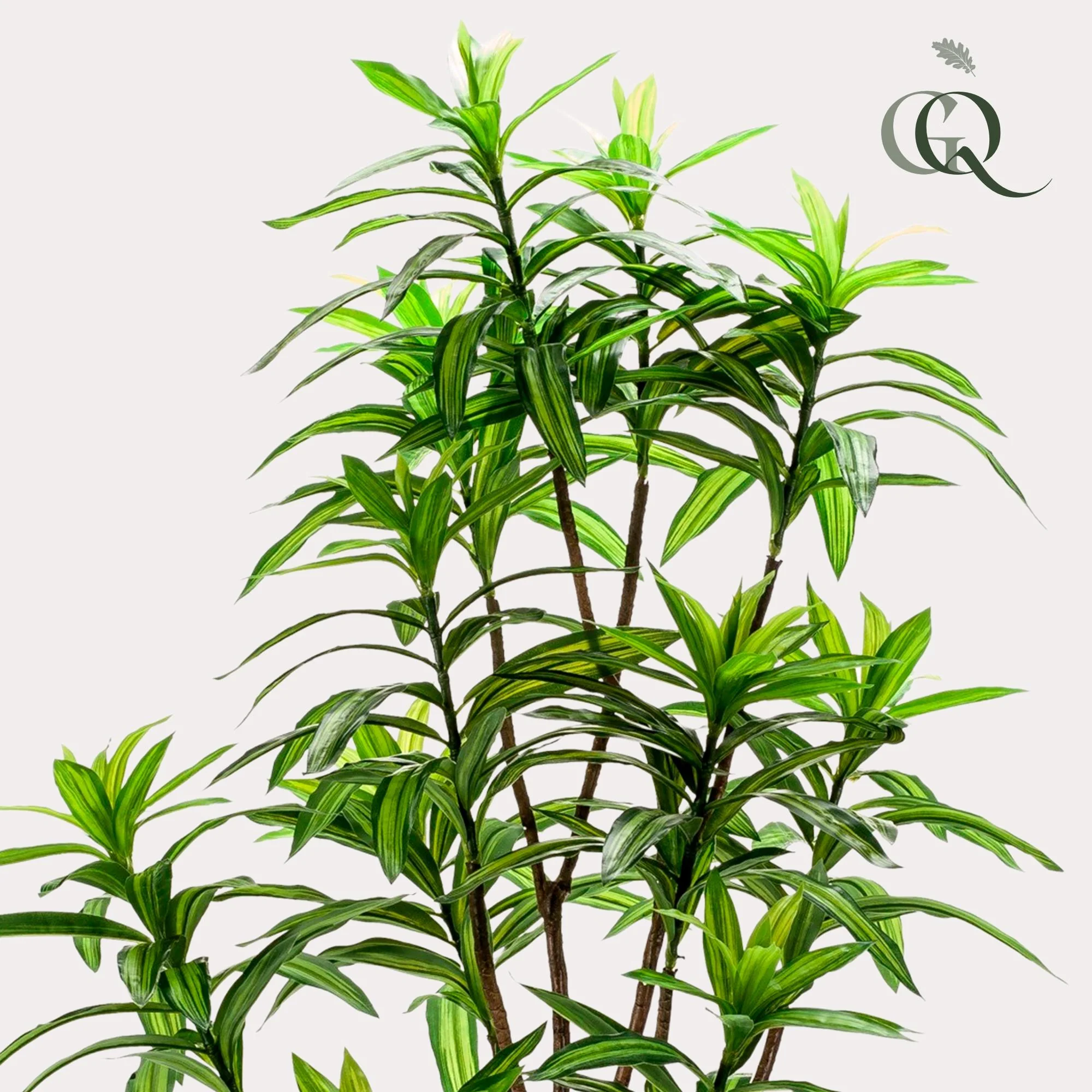 Kunstpflanze - Dracaena - Drachenbaum - 130 cm Bild 2