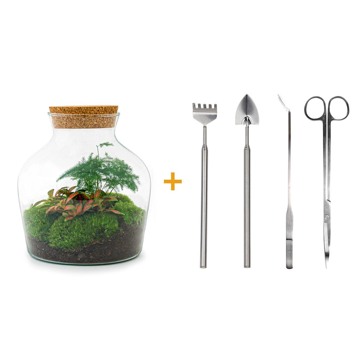 Do-It-Yourself Flaschengarten Set