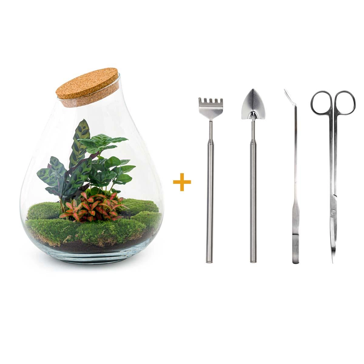 Flaschengarten - Drop XL Rot - ↕ 37 cm - Rake + Shovel + Tweezer + Scissors Bild 1