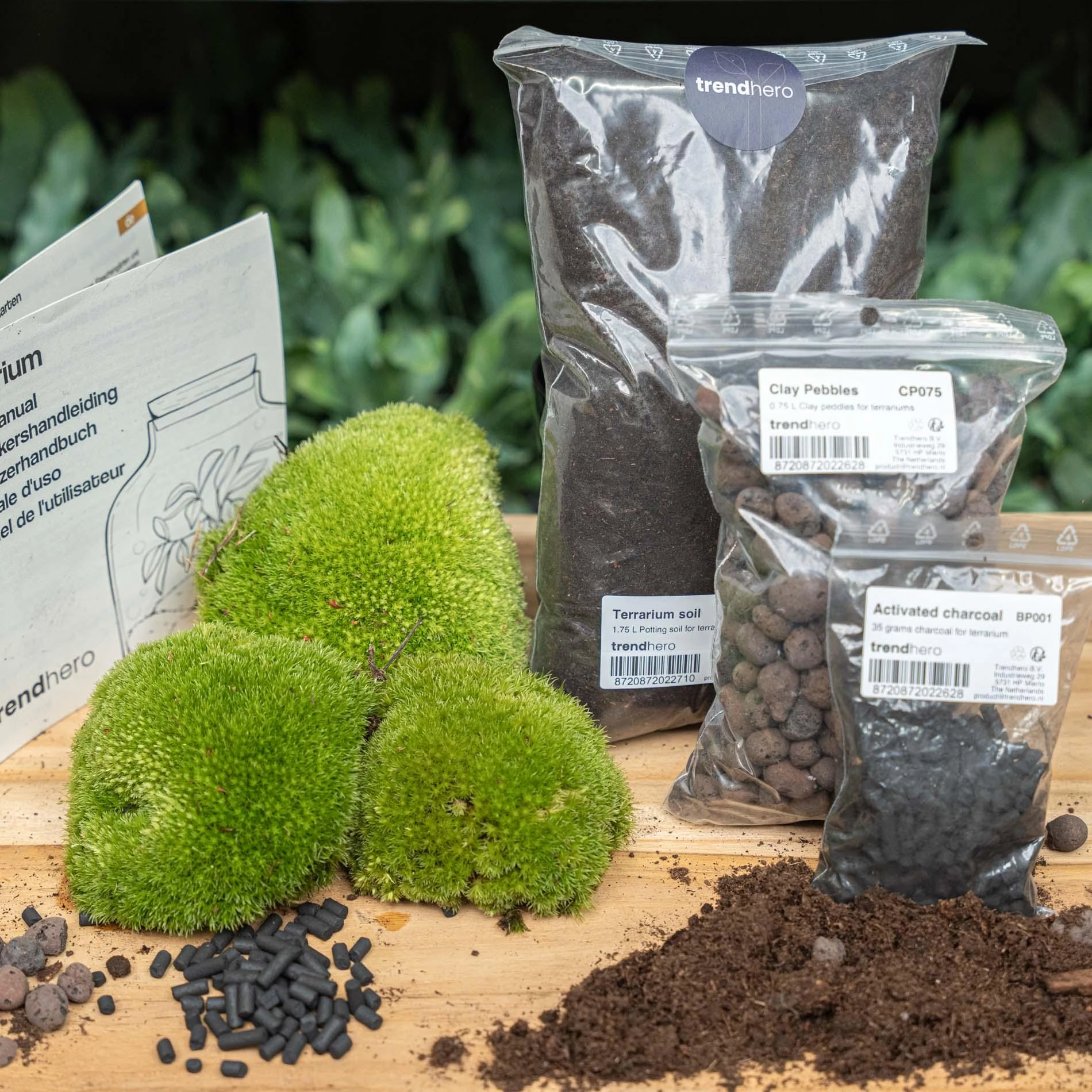 Planten terrarium navulling   startpakket - Maat LXL Bild 1