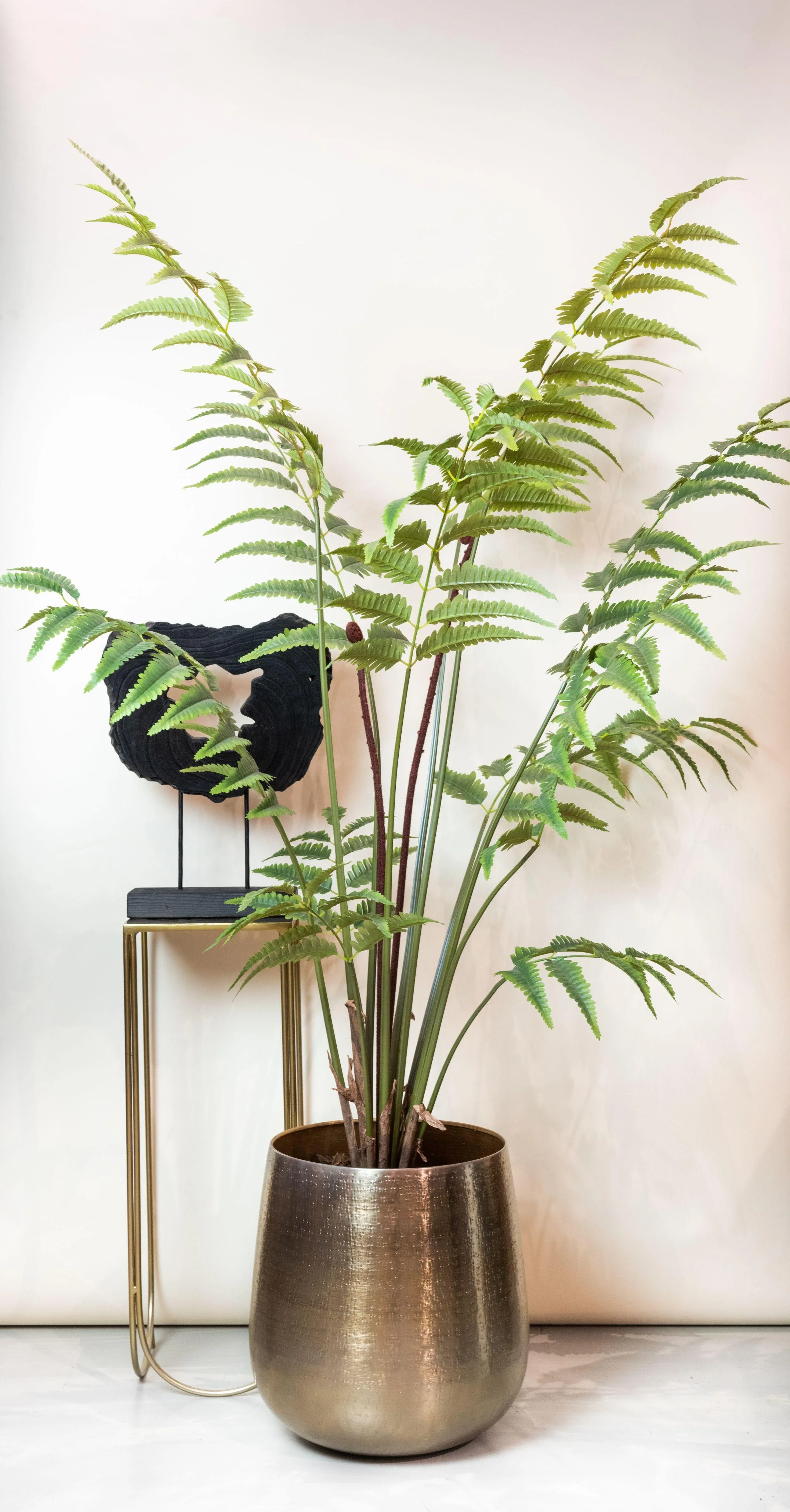 Kunstpflanze Rumohra Adiantiformis – Lederfarn