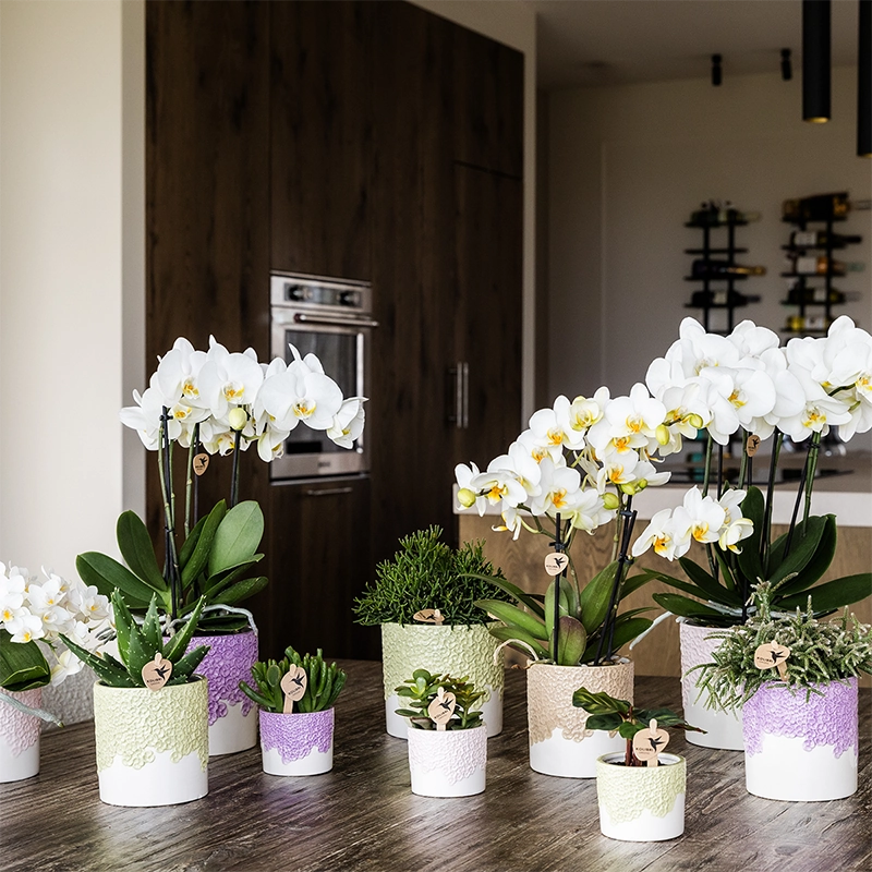 Bloompot in Grün