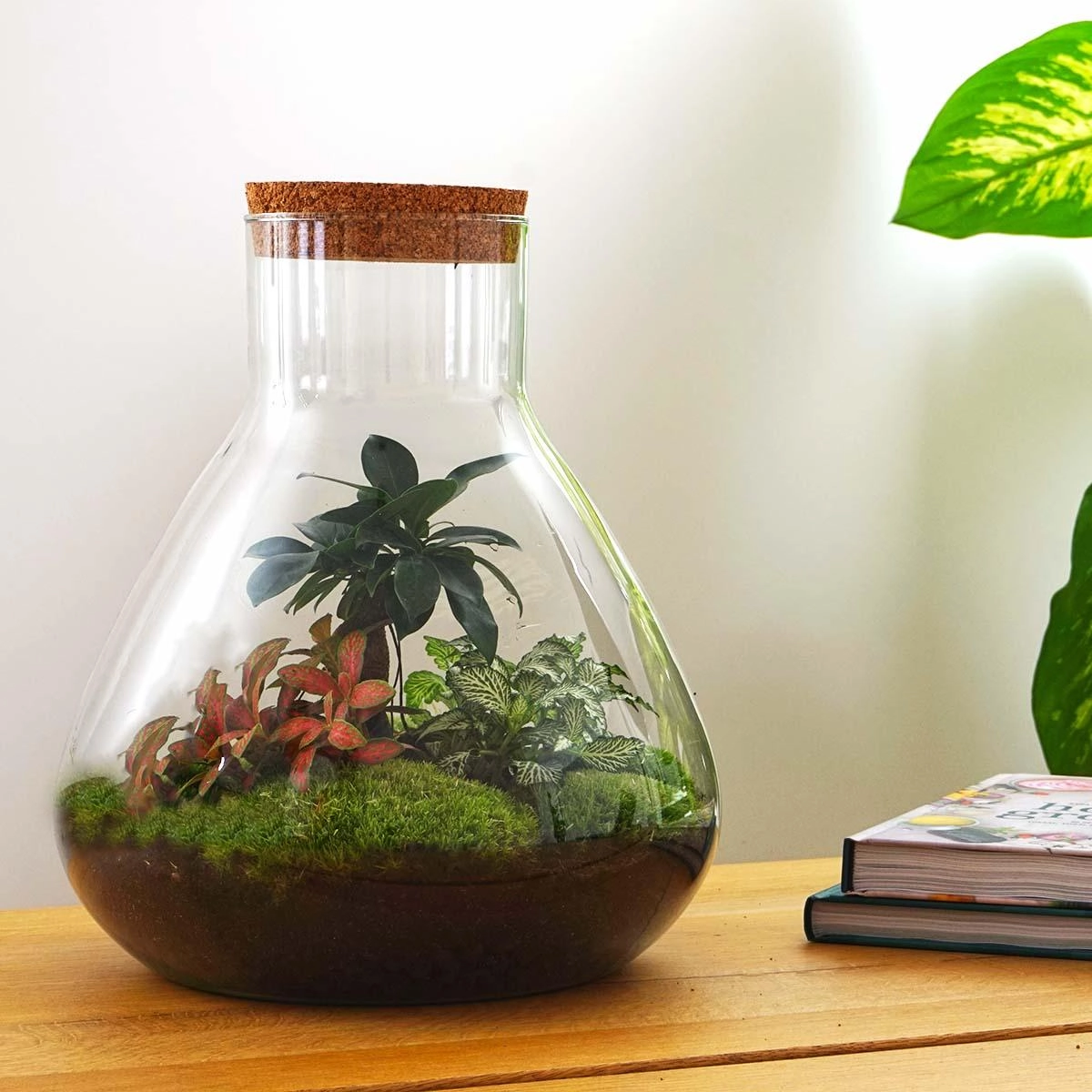 Do-It-Yourself Terrarium