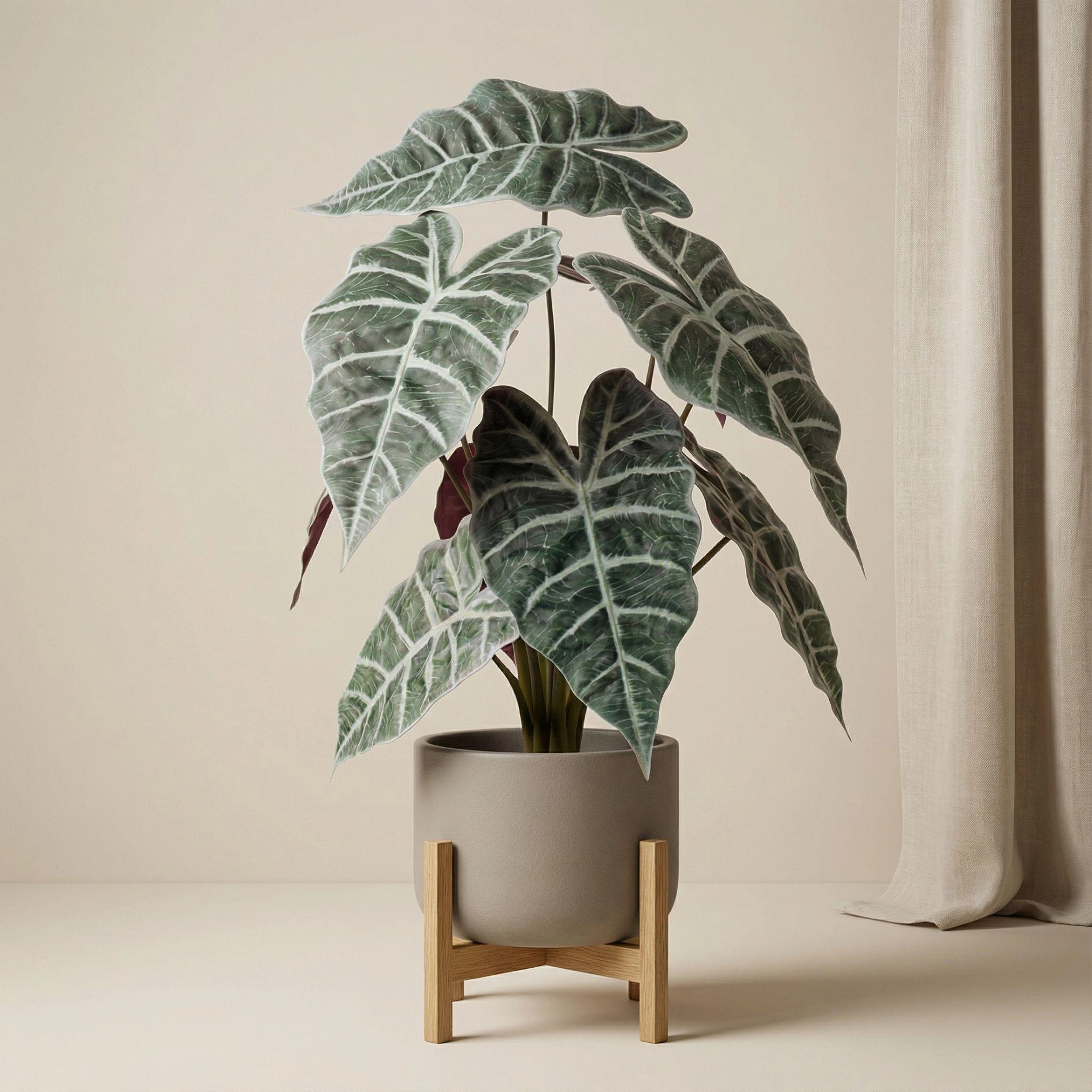 Alocasia Kunstpflanze im Topf 40 cm