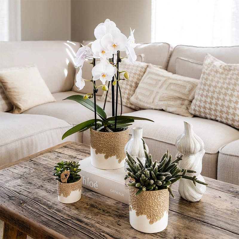 Bloompot Sand