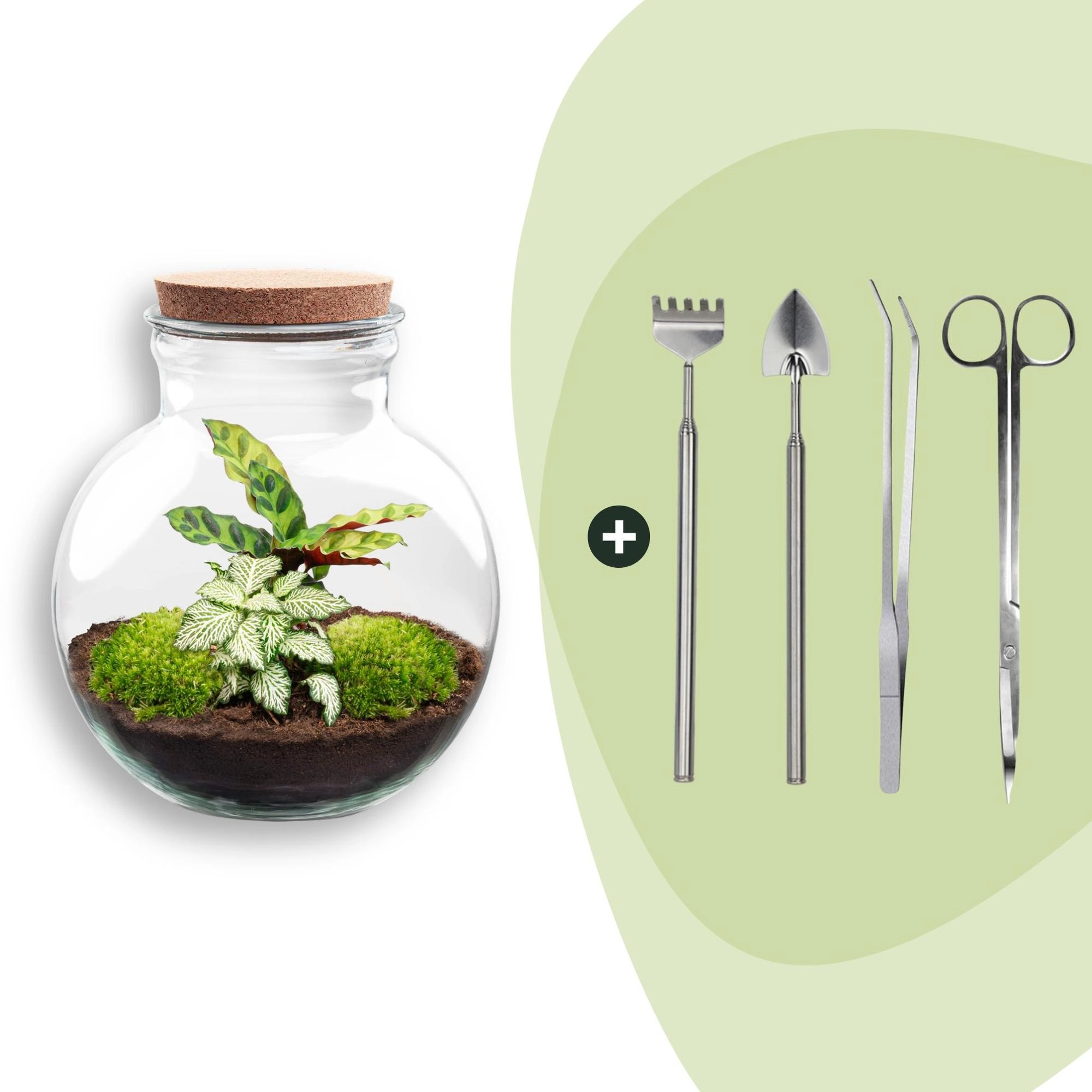 Flaschengarten - Teddy - ↕ 26,5 cm - Rake + Shovel + Tweezer + Scissors Bild 1