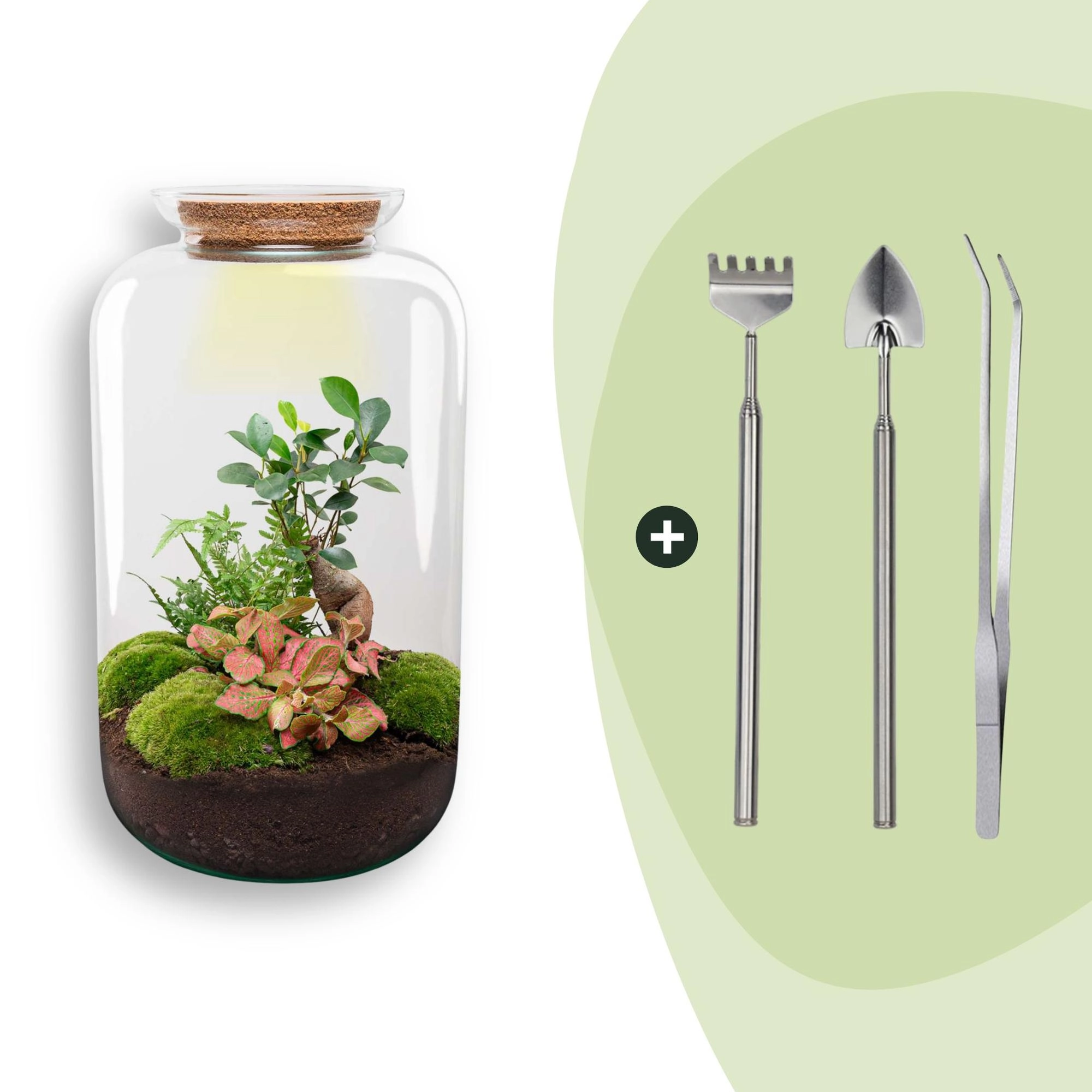 Flaschengarten - Sven Bonsai - ↕ 43 cm - Rake + Shovel + Tweezer Bild 1