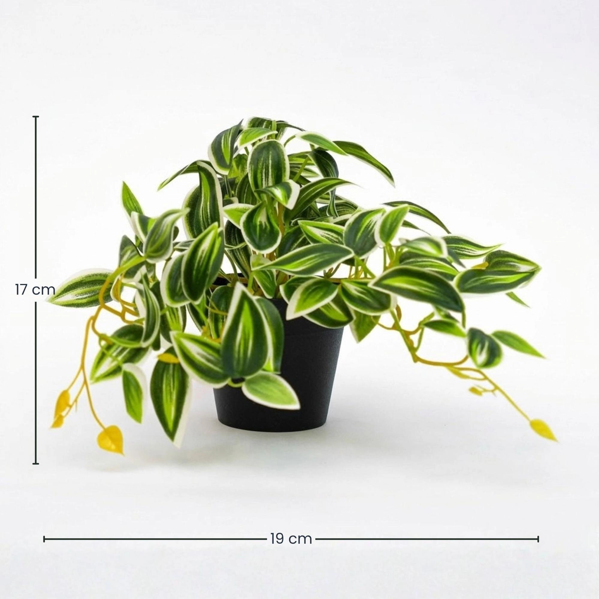 Tradescantia Kunstpflanze Grün/Weiß im Topf, 19 cm