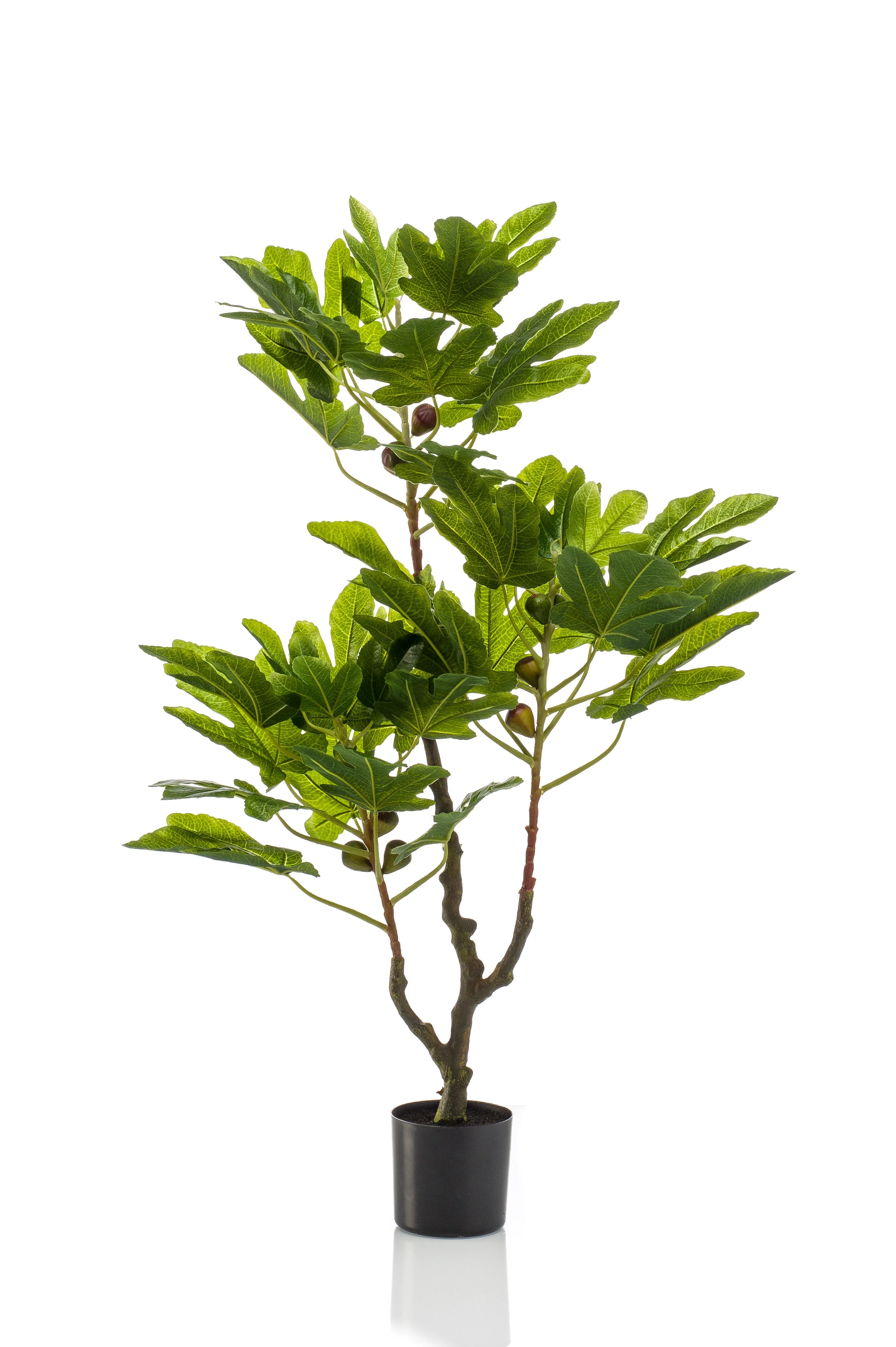 Kunstfeigenbaum – Ficus Carica