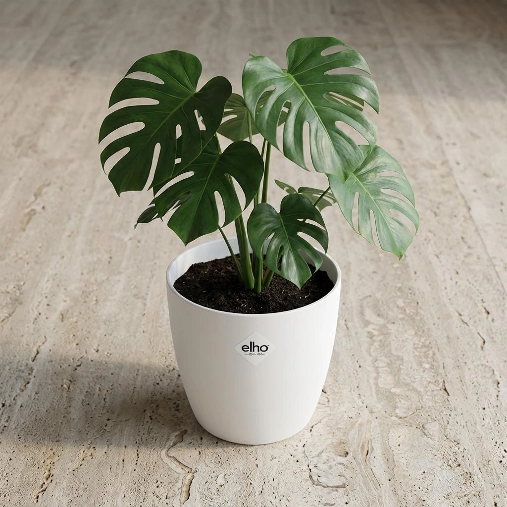 ELHO Brussels rond 18cm wit Bild 6