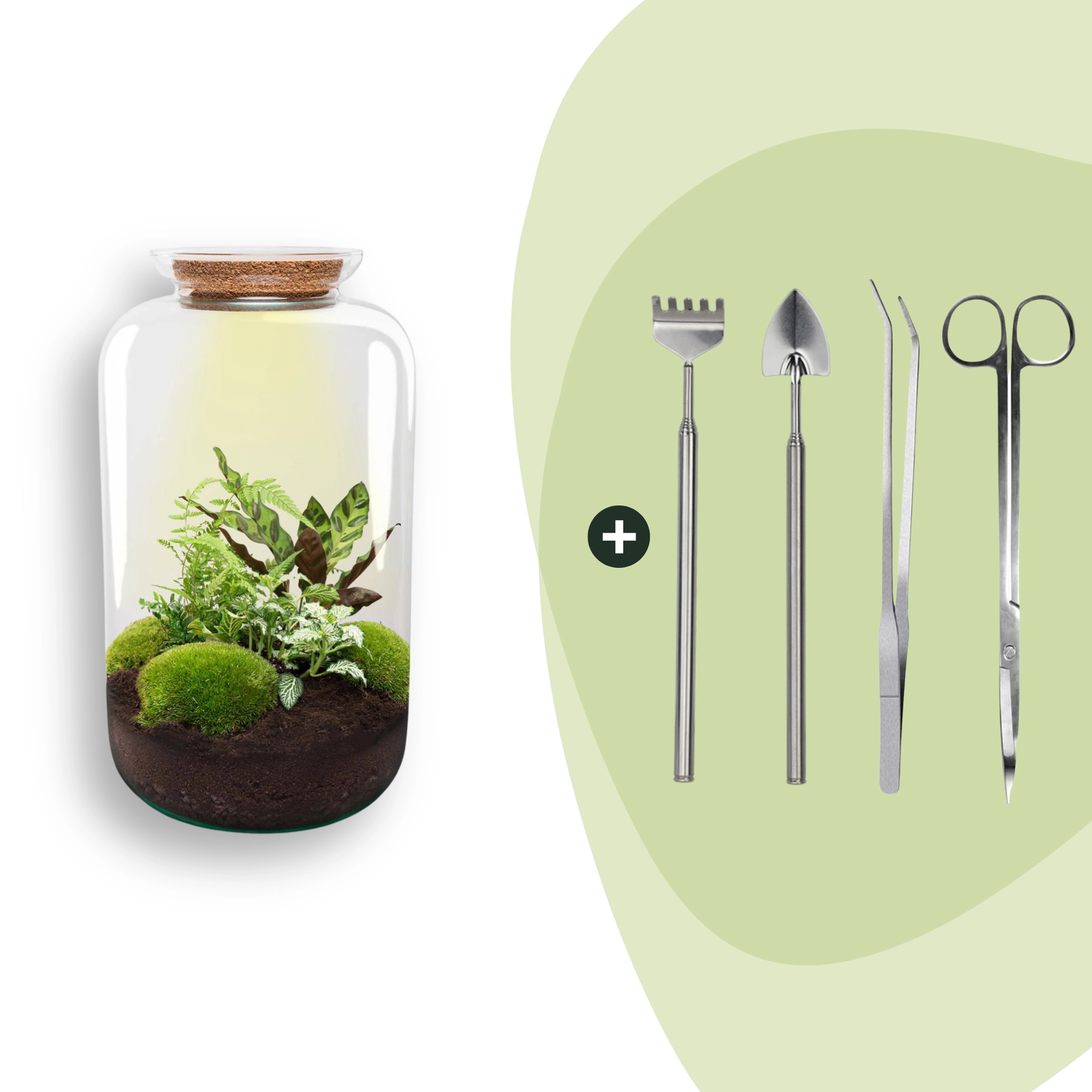 Flaschengarten - Botanical Sven XL - ↕ 43 cm - Rake + Shovel + Tweezer + Scissors Bild 1