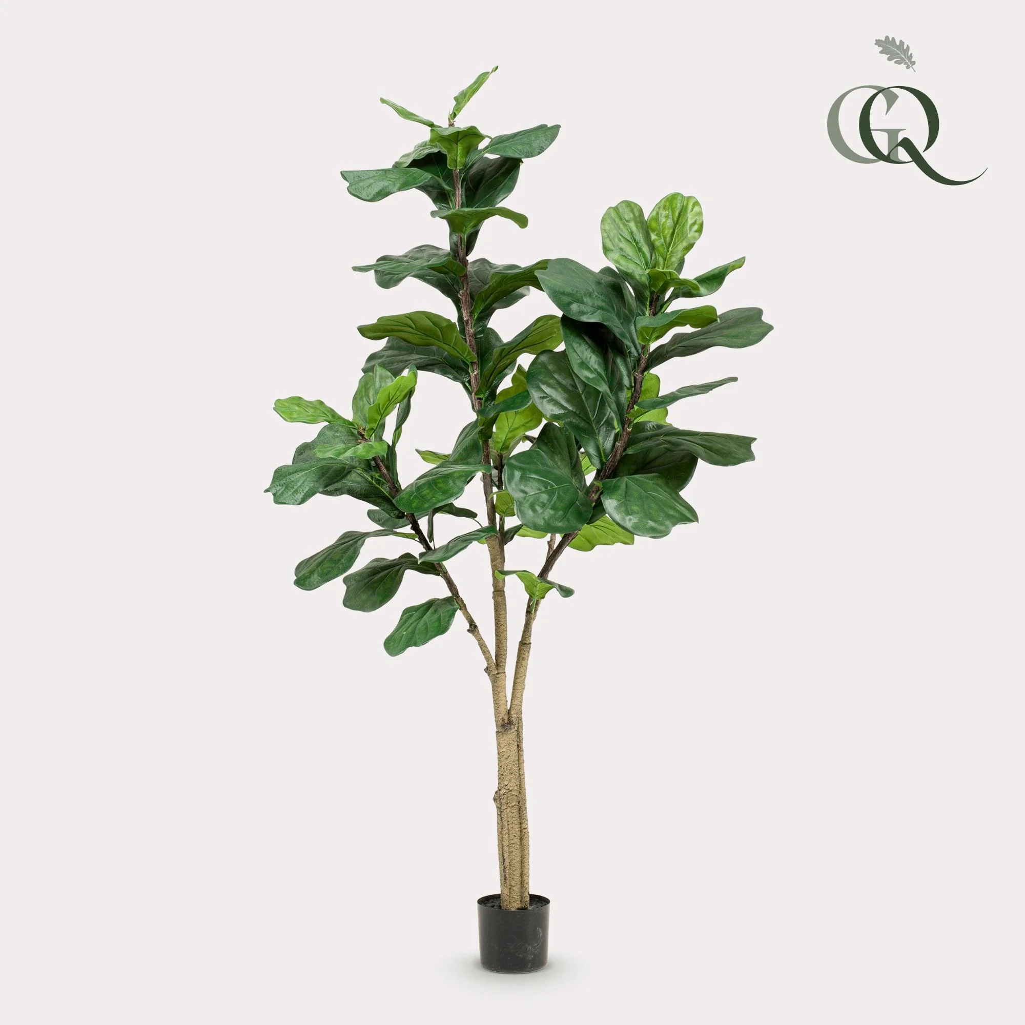 Ficus Lyrata Kunstpflanze – Pflegeleichte Tabakspflanze