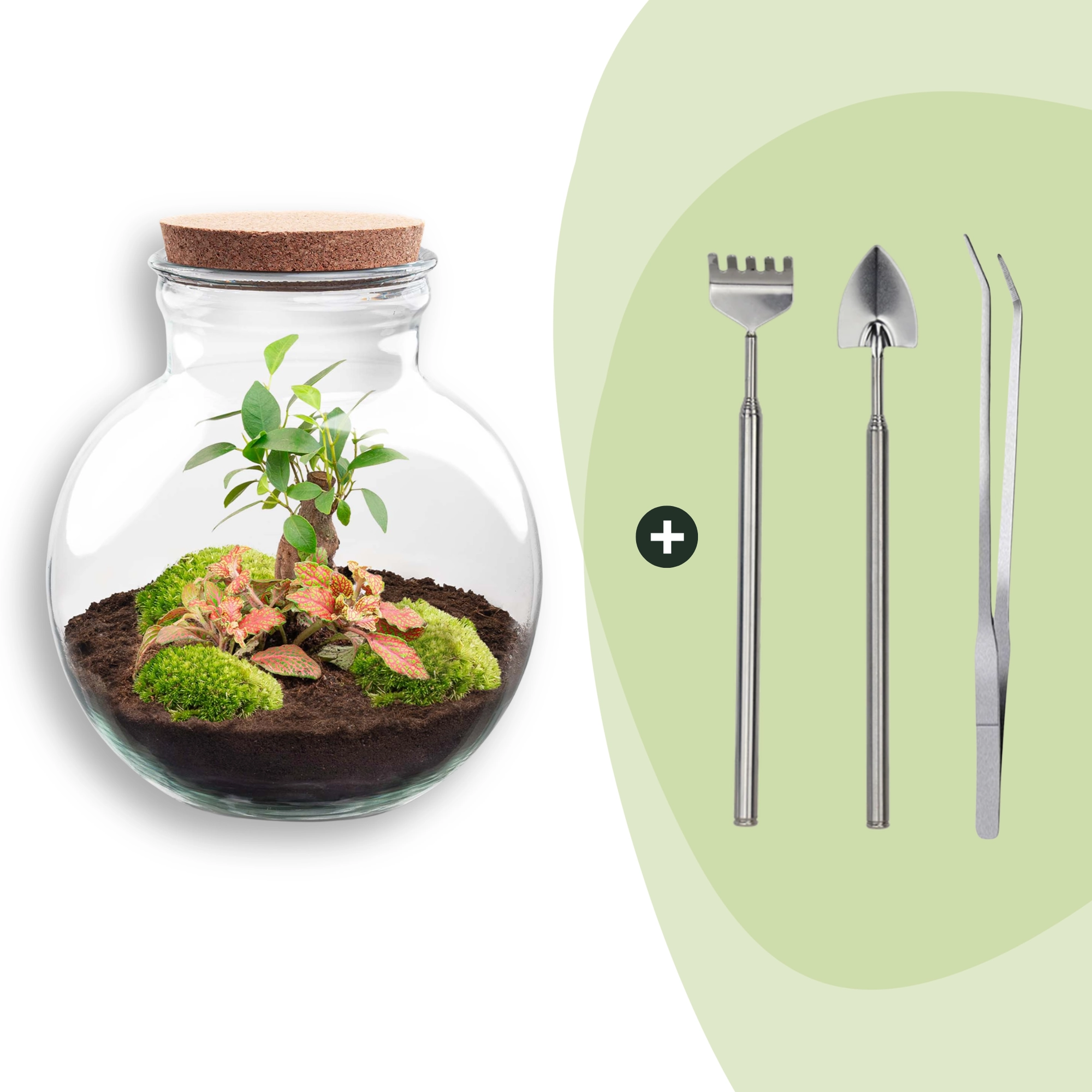 Flaschengarten - Teddy bonsai - ↕ 26,5 cm - Rake + Shovel + Tweezer Bild 1