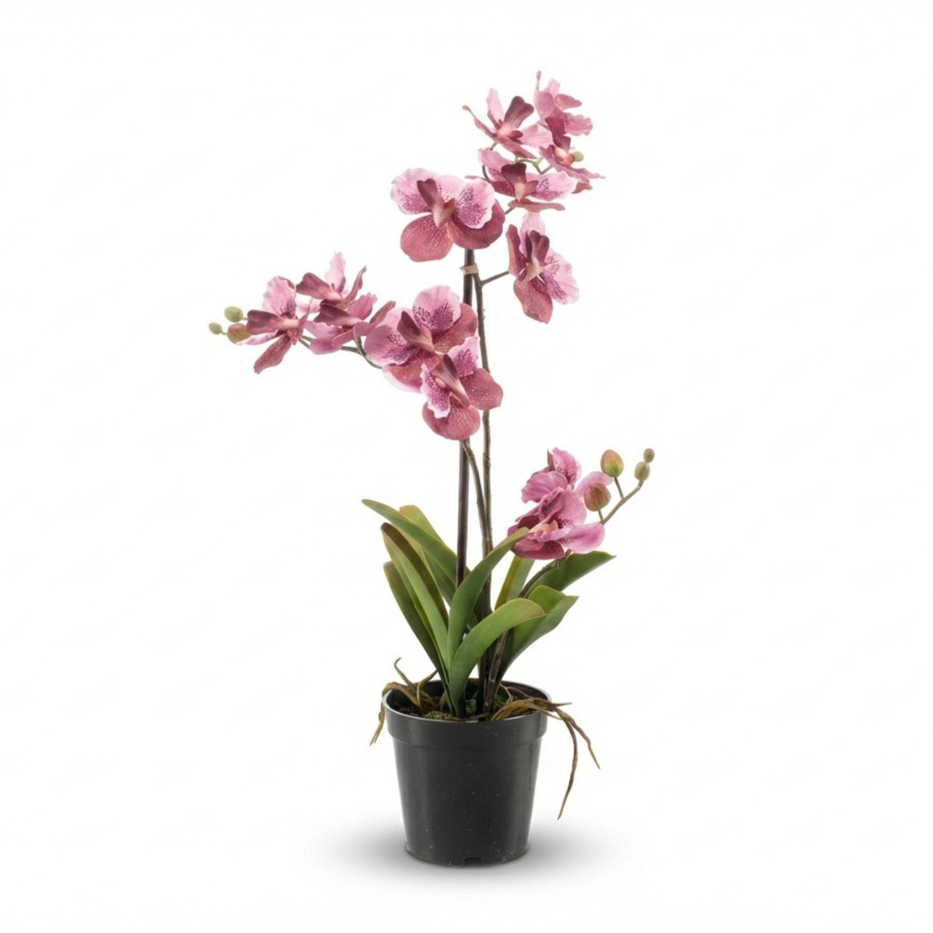 De Vanda Orchidee Kunstpflanze 60 cm in altrosa