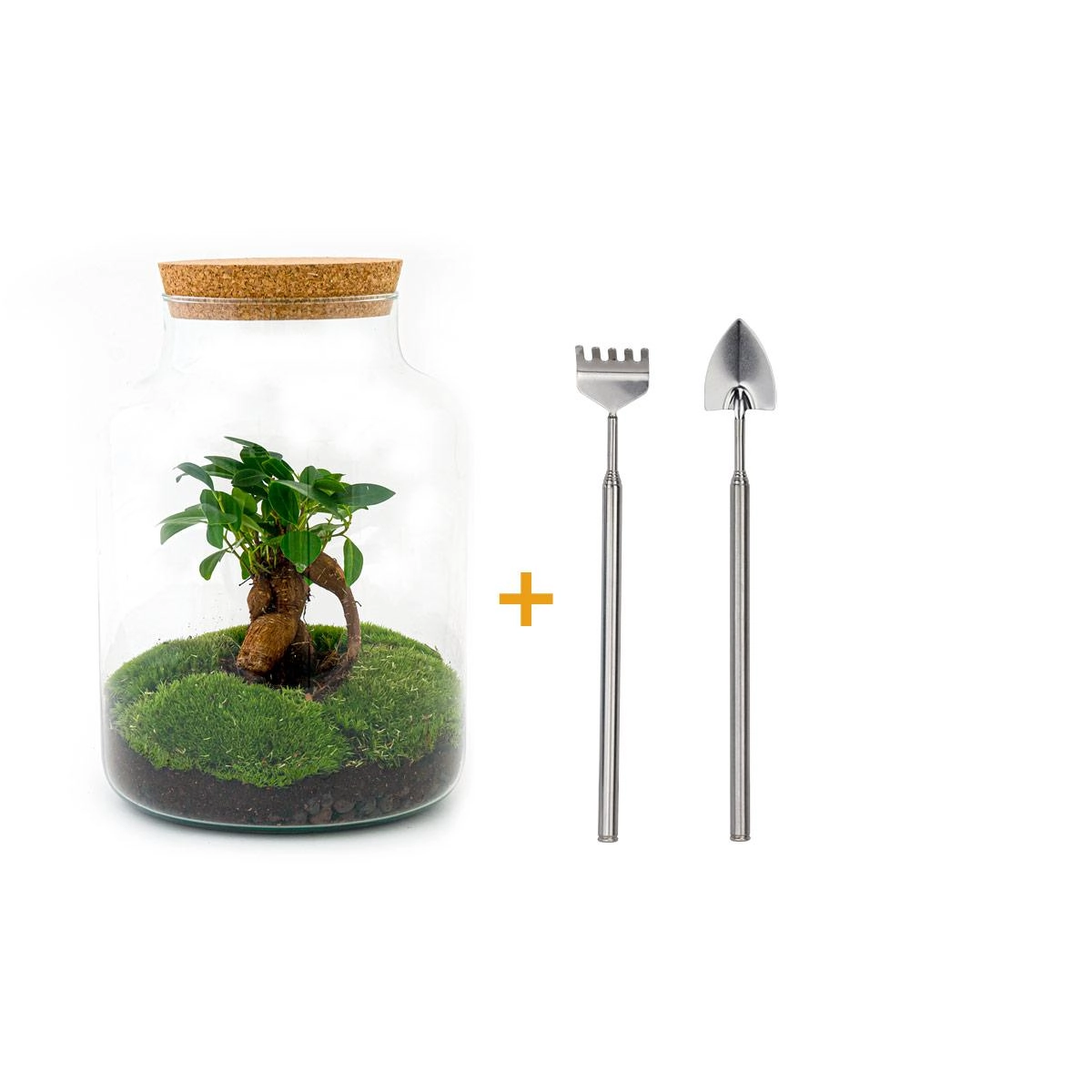 Do-It-Yourself Flaschengarten Set