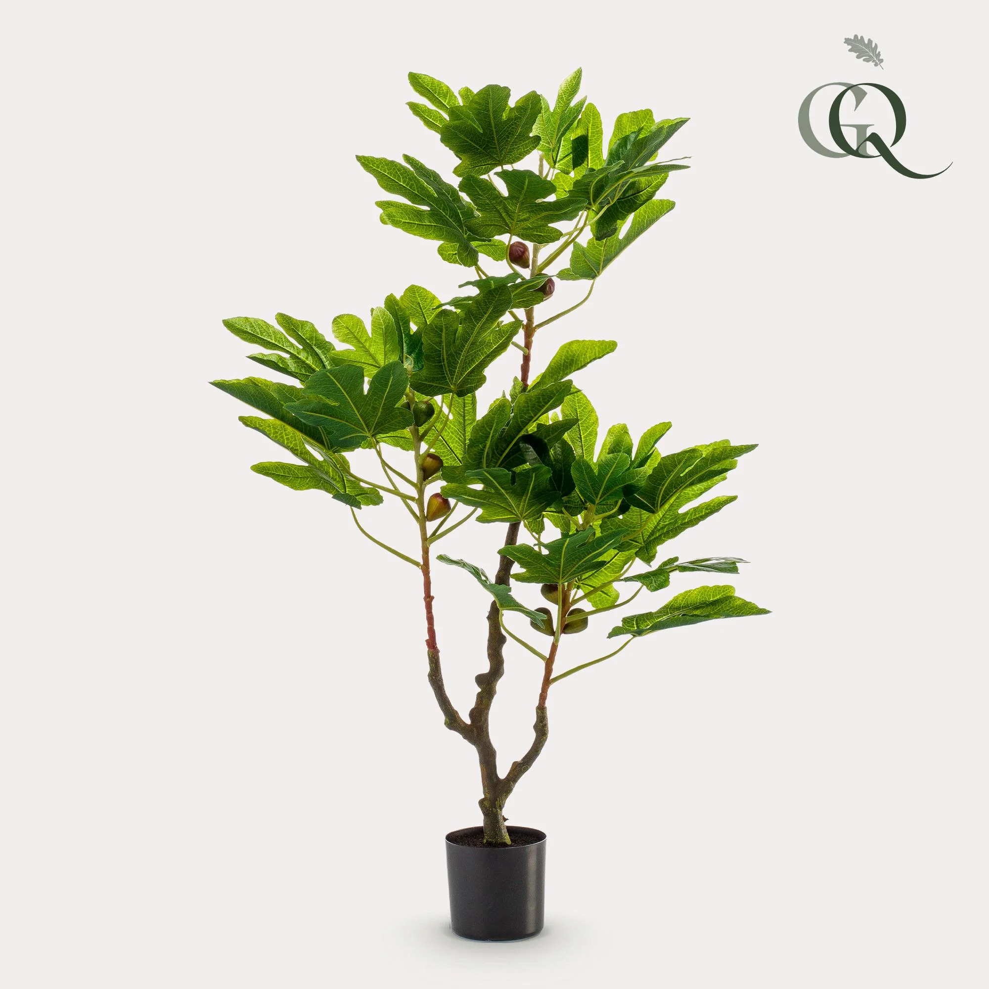 Kunstfeigenbaum – Ficus Carica