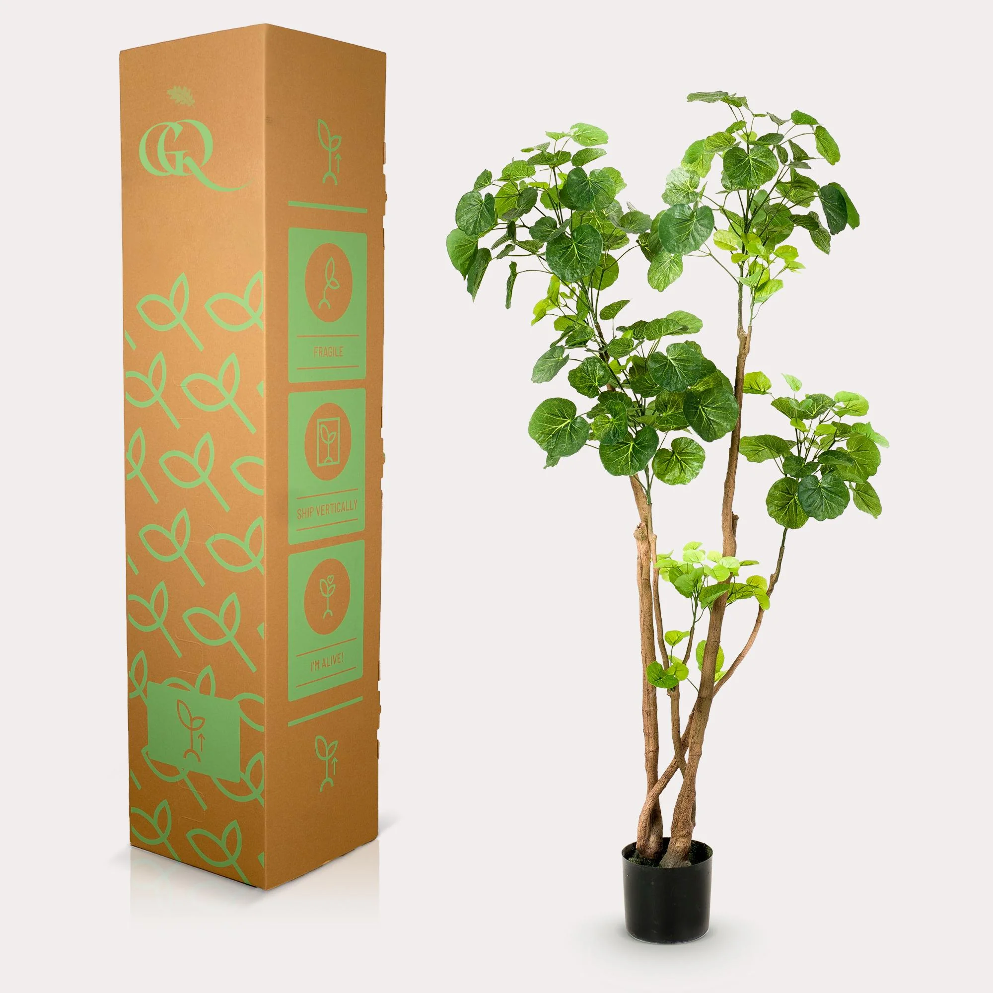 Kunstpflanze - Polyscias - Aralia - 135 cm