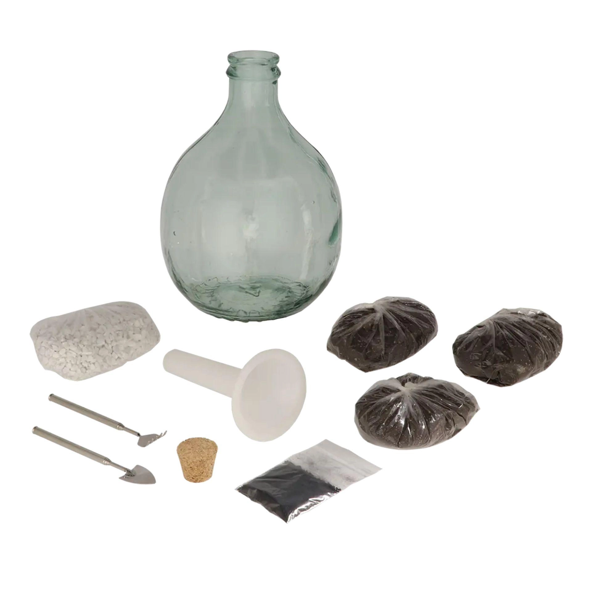 DIY Plant Terrarium Set – Mini-Jungle in einer Box