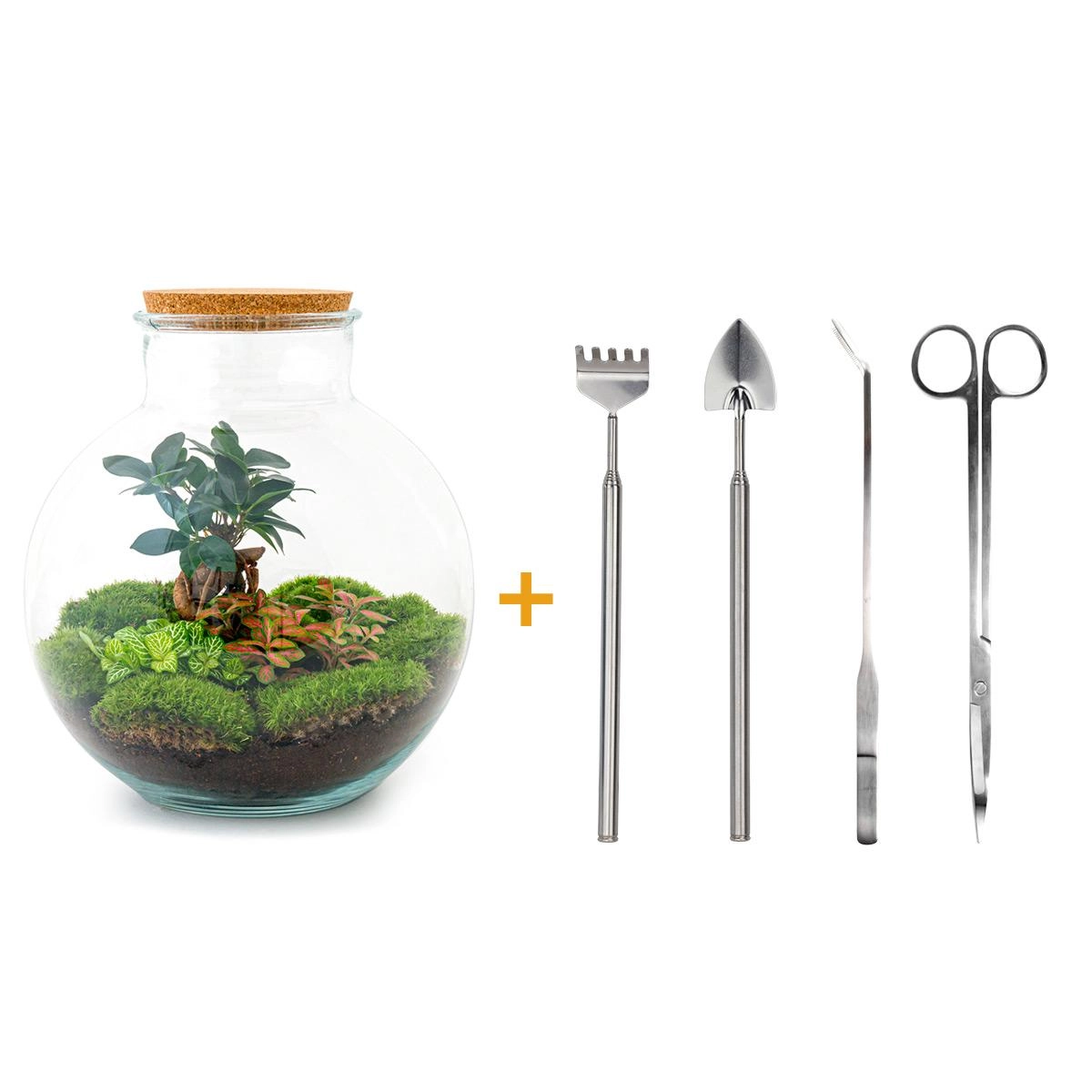 Do-It-Yourself Flaschengarten Set