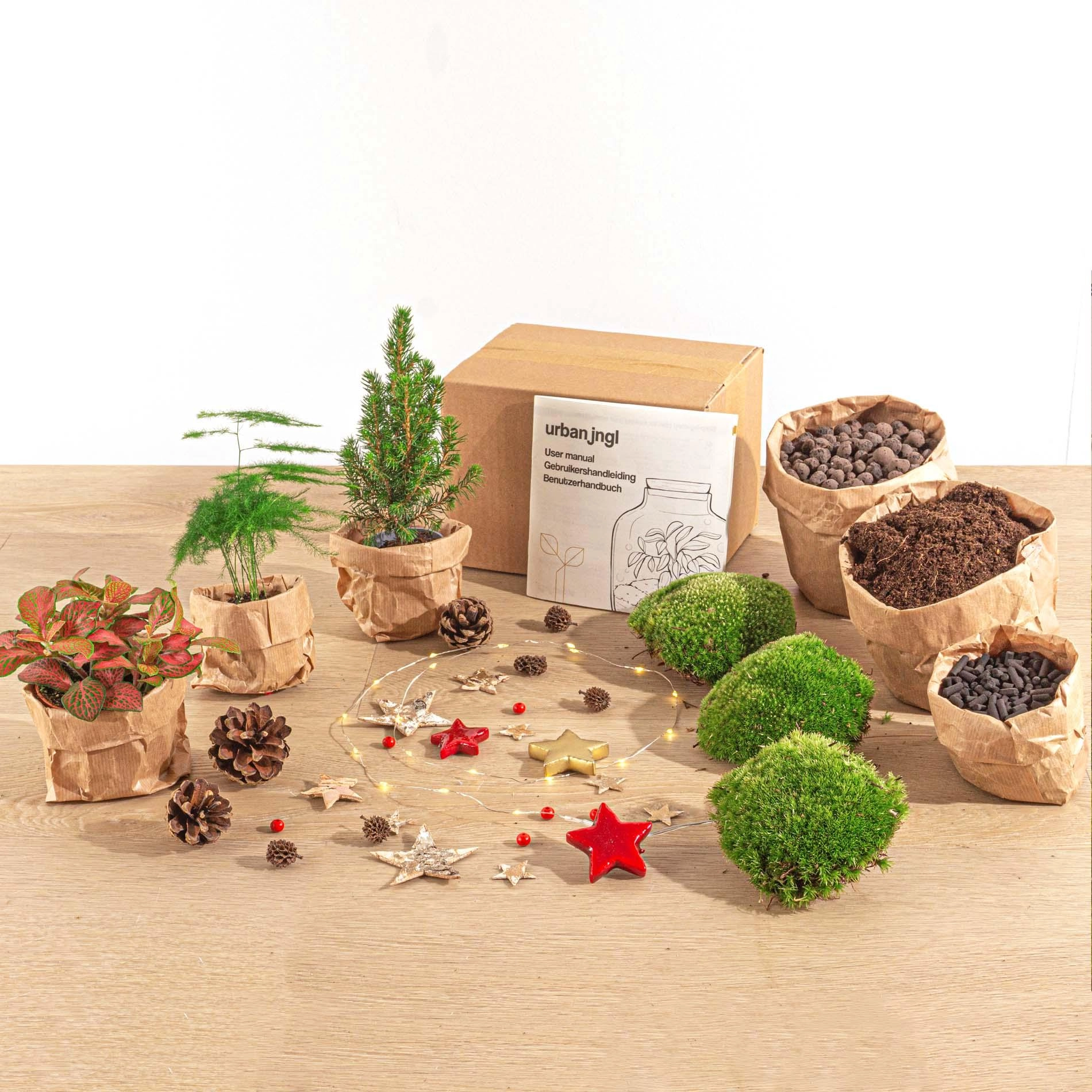 Feestdagen Terrarium Start- und Nachfüllpaket
