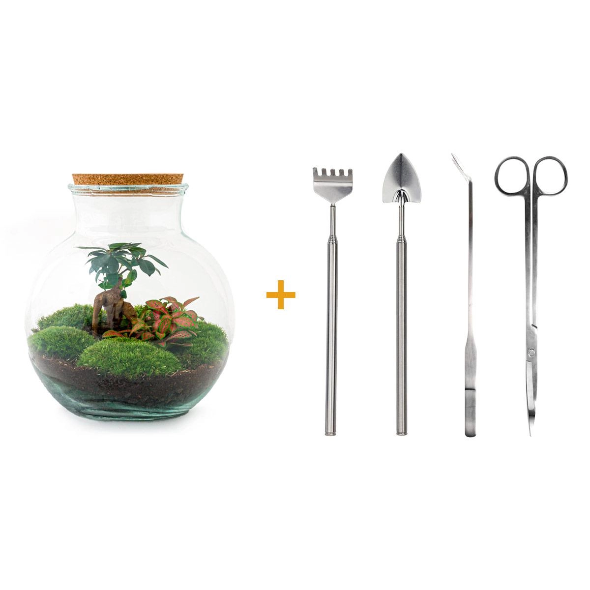 Do-It-Yourself Flaschengarten Set