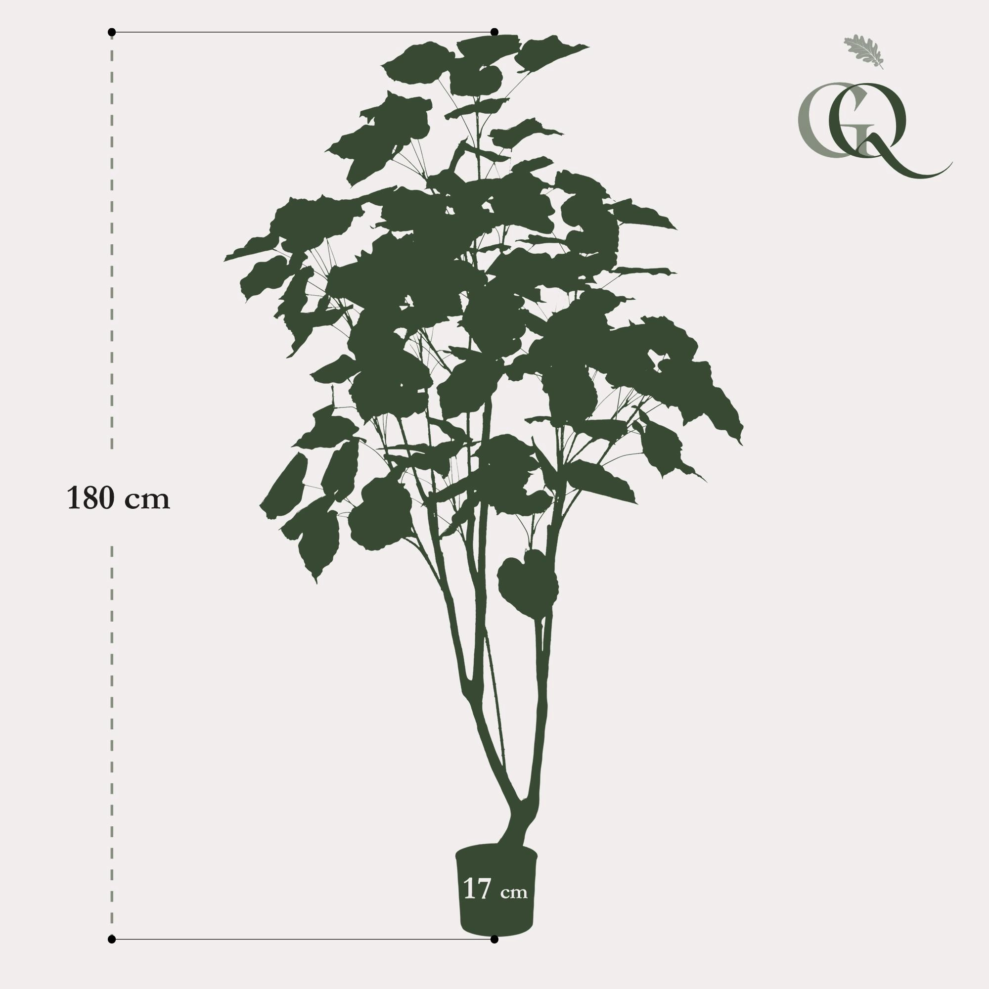 Ficus Umbellata – Kunstpflanze