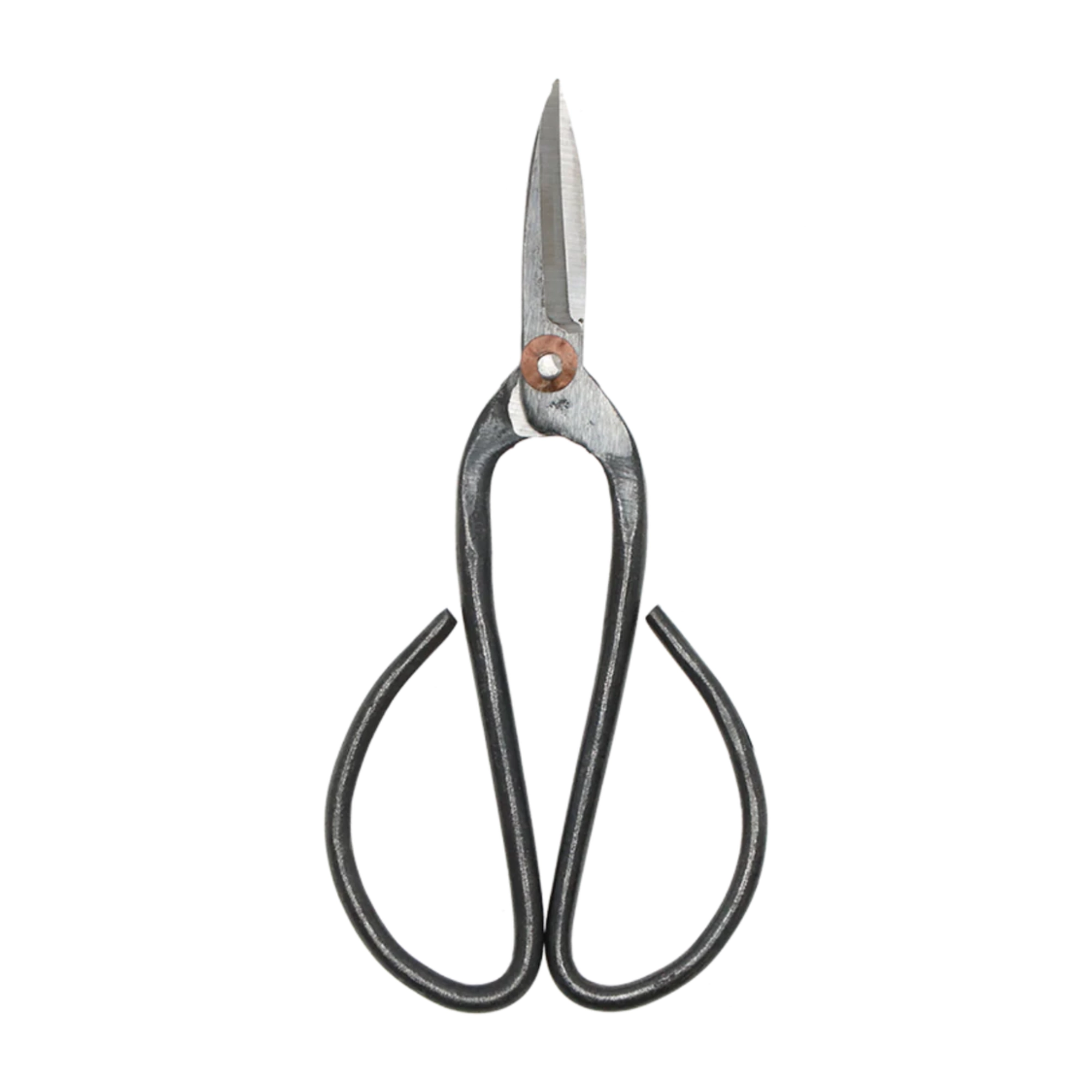Bonsai shears L - 19 cm - Bonsai tool Bild 2