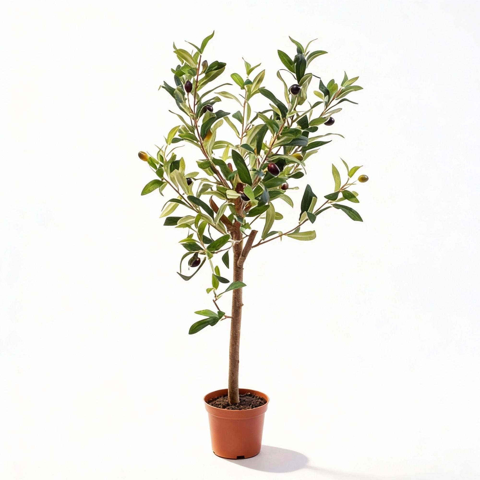 Kunst Olivenbaum 65 cm hoch