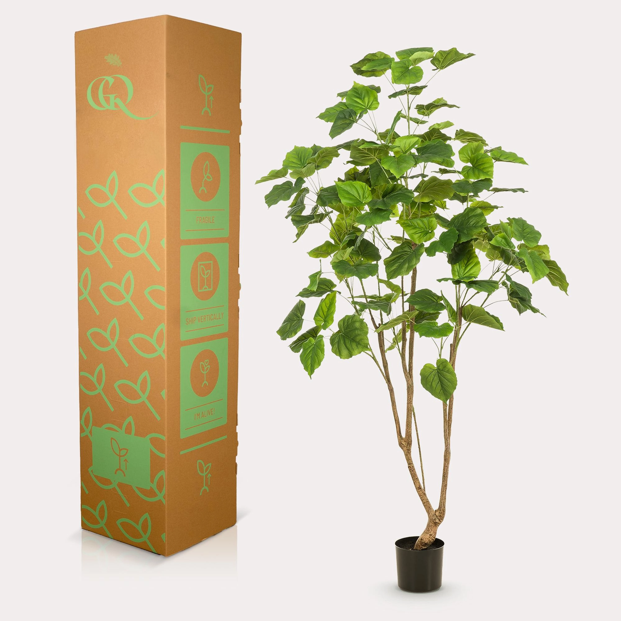 Ficus Umbellata – Kunstpflanze