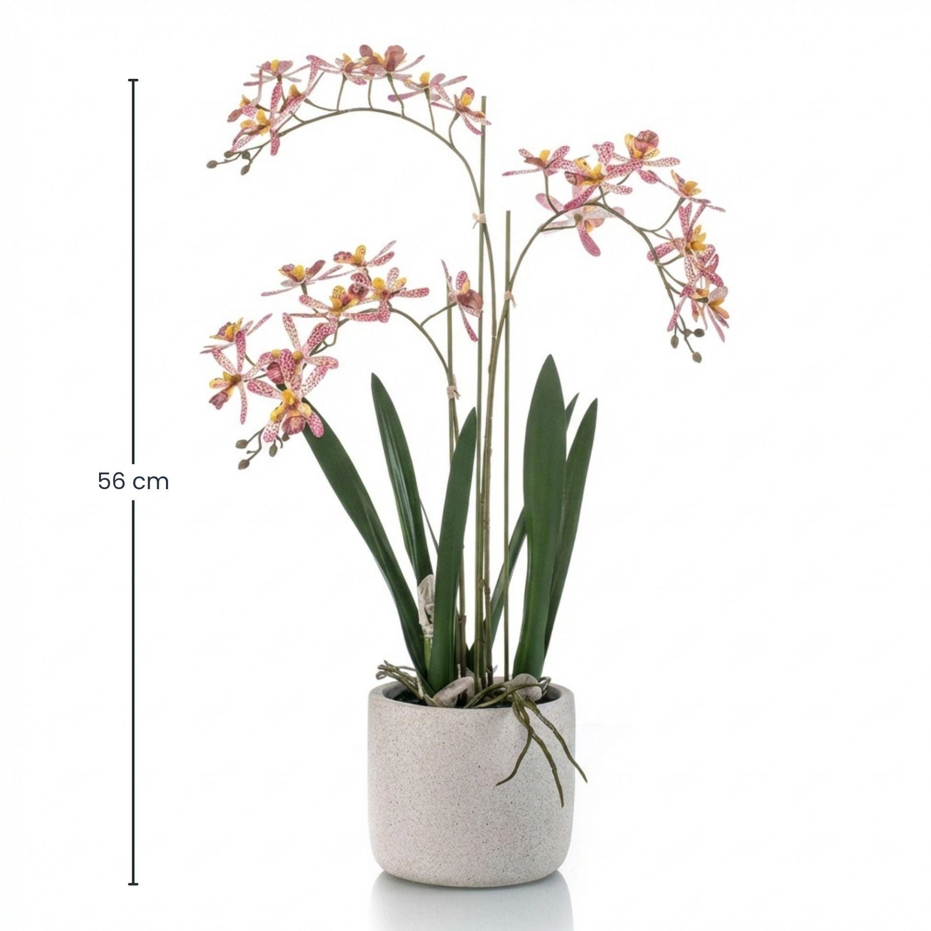 Renanthera Orchidee (künstlich) – 56 cm