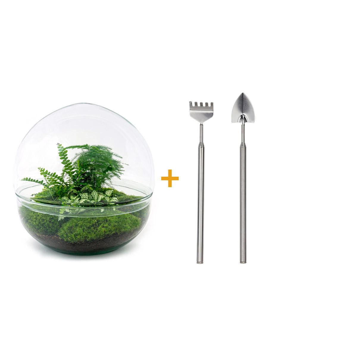 Flaschengarten - Dome XL - ↕ 30 cm - Rake + Shovel Bild 1