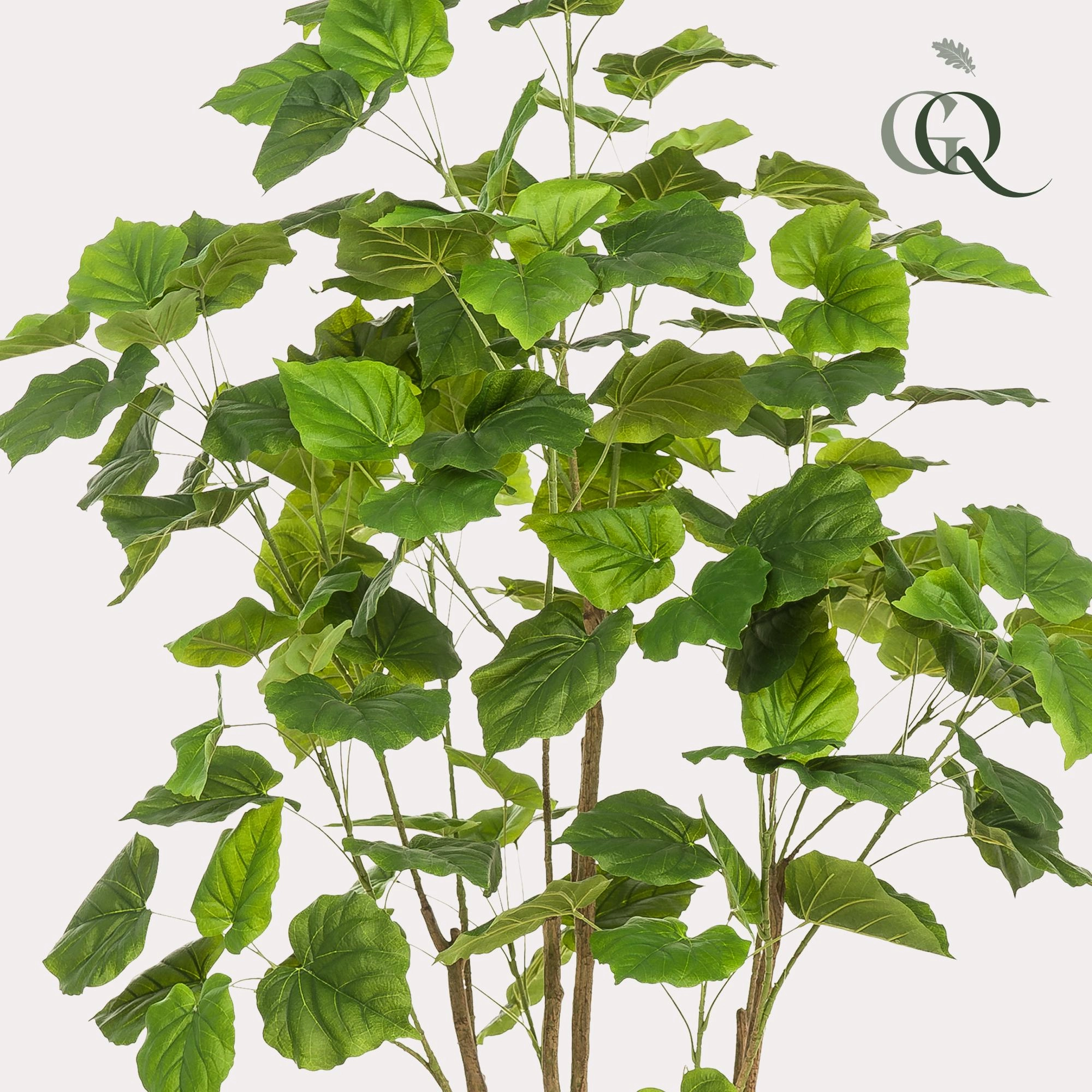 Ficus Umbellata – Kunstpflanze