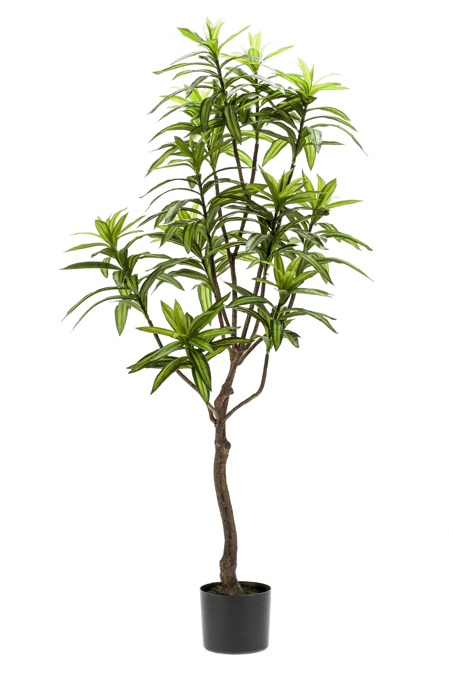 Kunstpflanze - Dracaena - Drachenbaum - 130 cm Bild 4