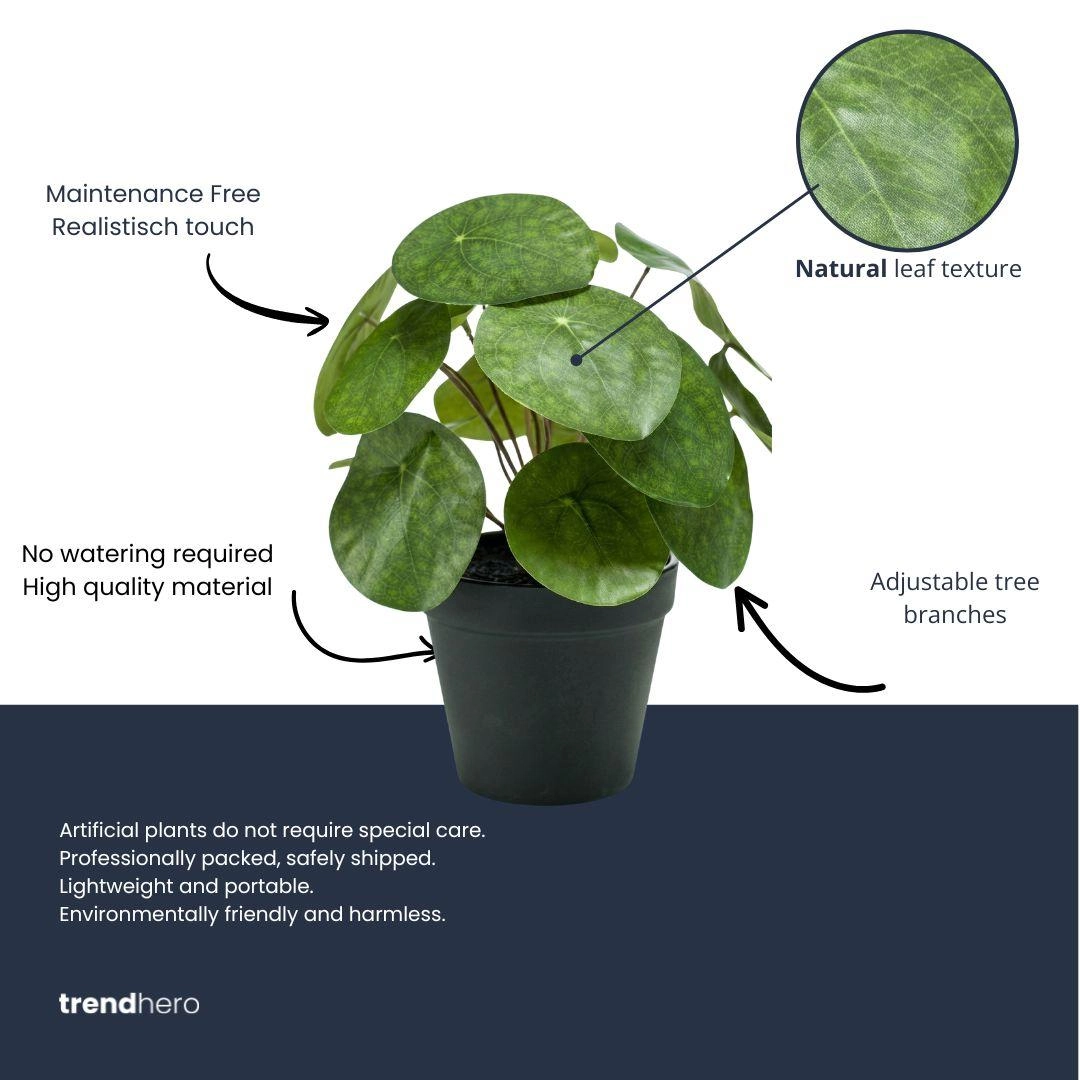 Pilea Kunstpflanze im schwarzen Topf, 25 cm