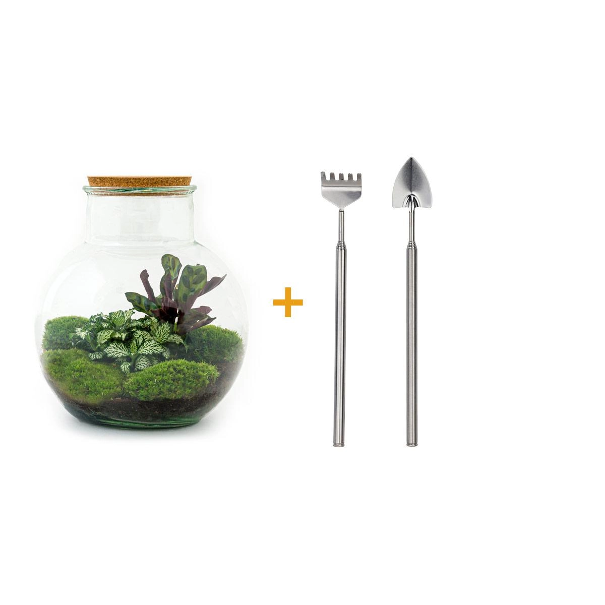 Do-It-Yourself Flaschengarten Set
