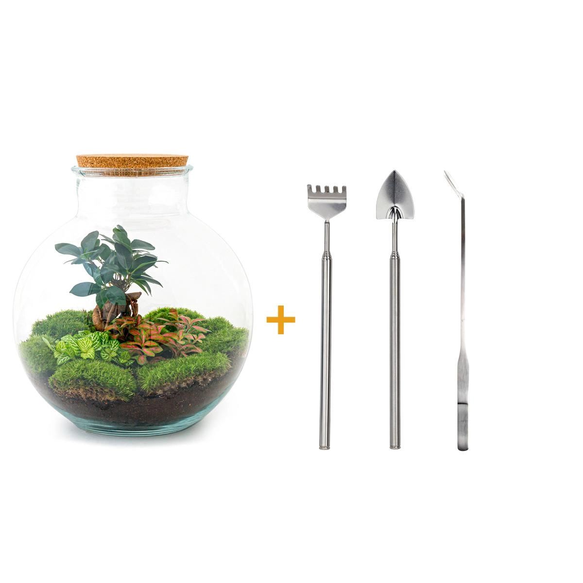 Do-It-Yourself Flaschengarten Set