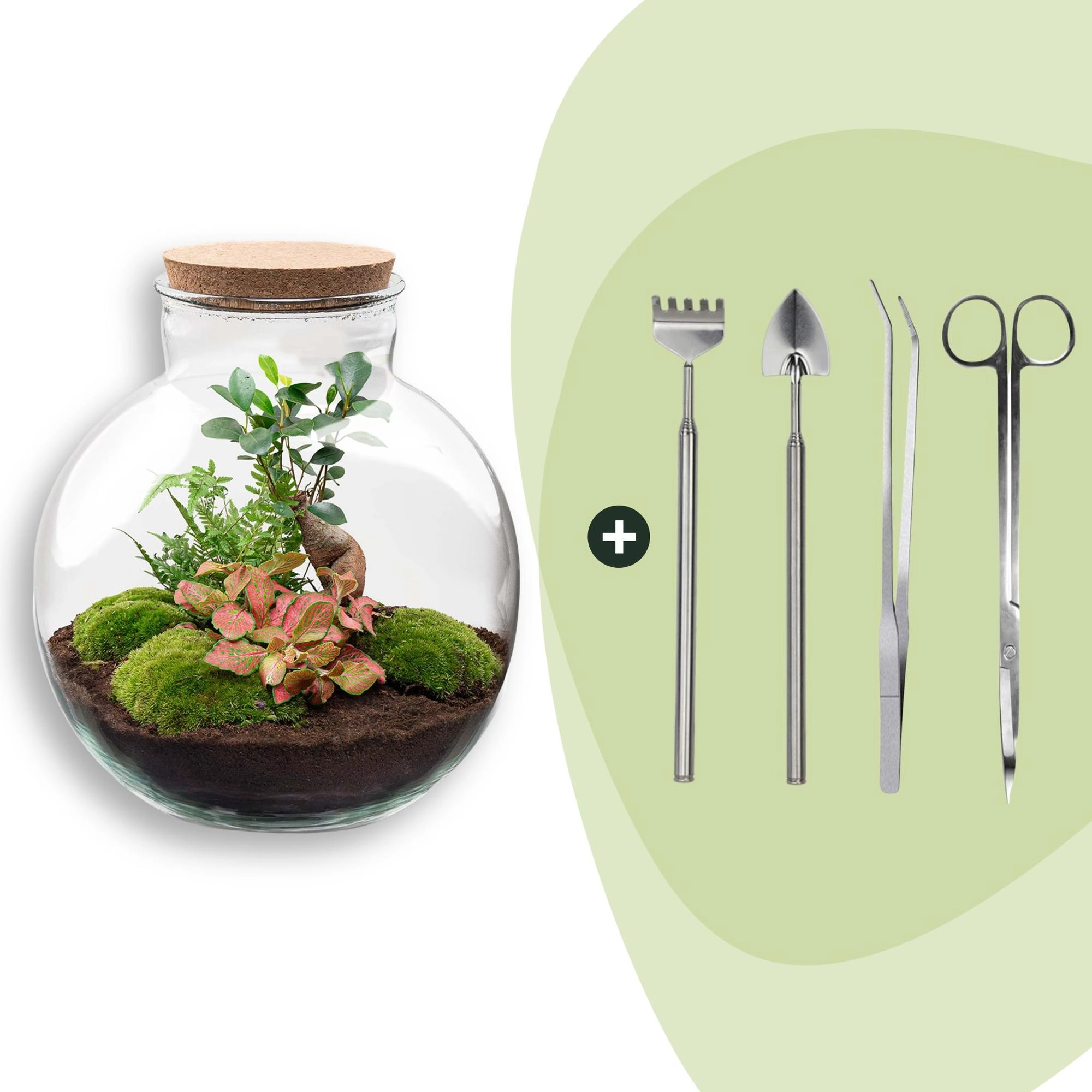 Flaschengarten - Bolder Bob Bonsai - ↕ 30 cm - Rake + Shovel + Tweezer + Scissors Bild 1