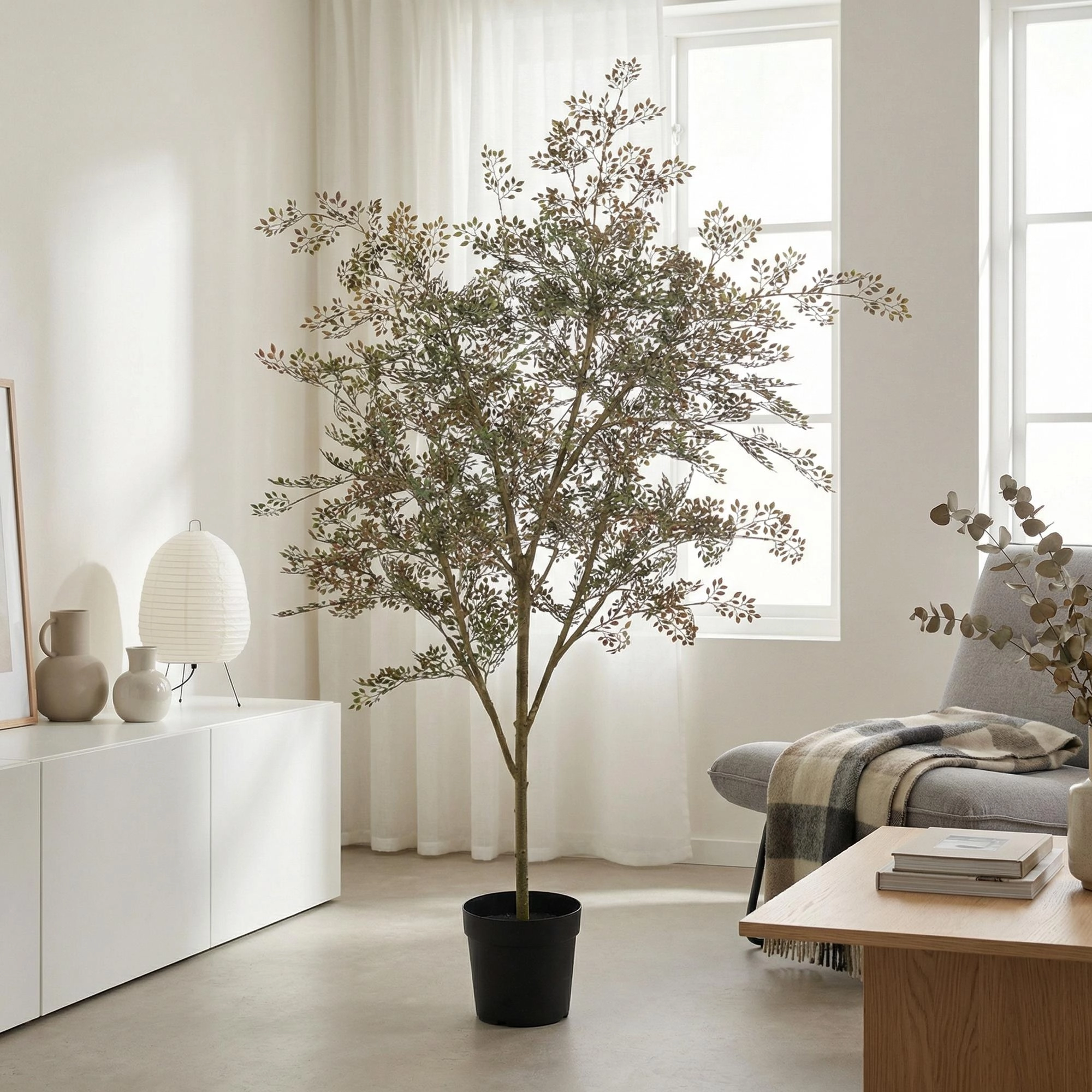 Kunst Bucida Baum