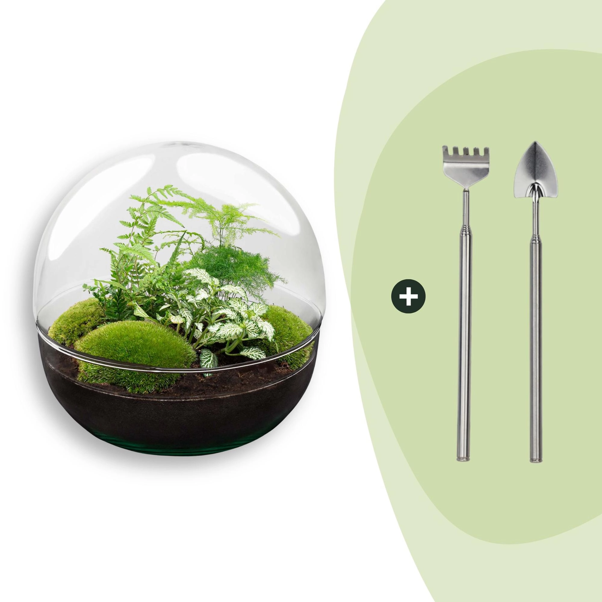Flaschengarten - Dome XL - ↕ 30 cm - Rake + Shovel Bild 1