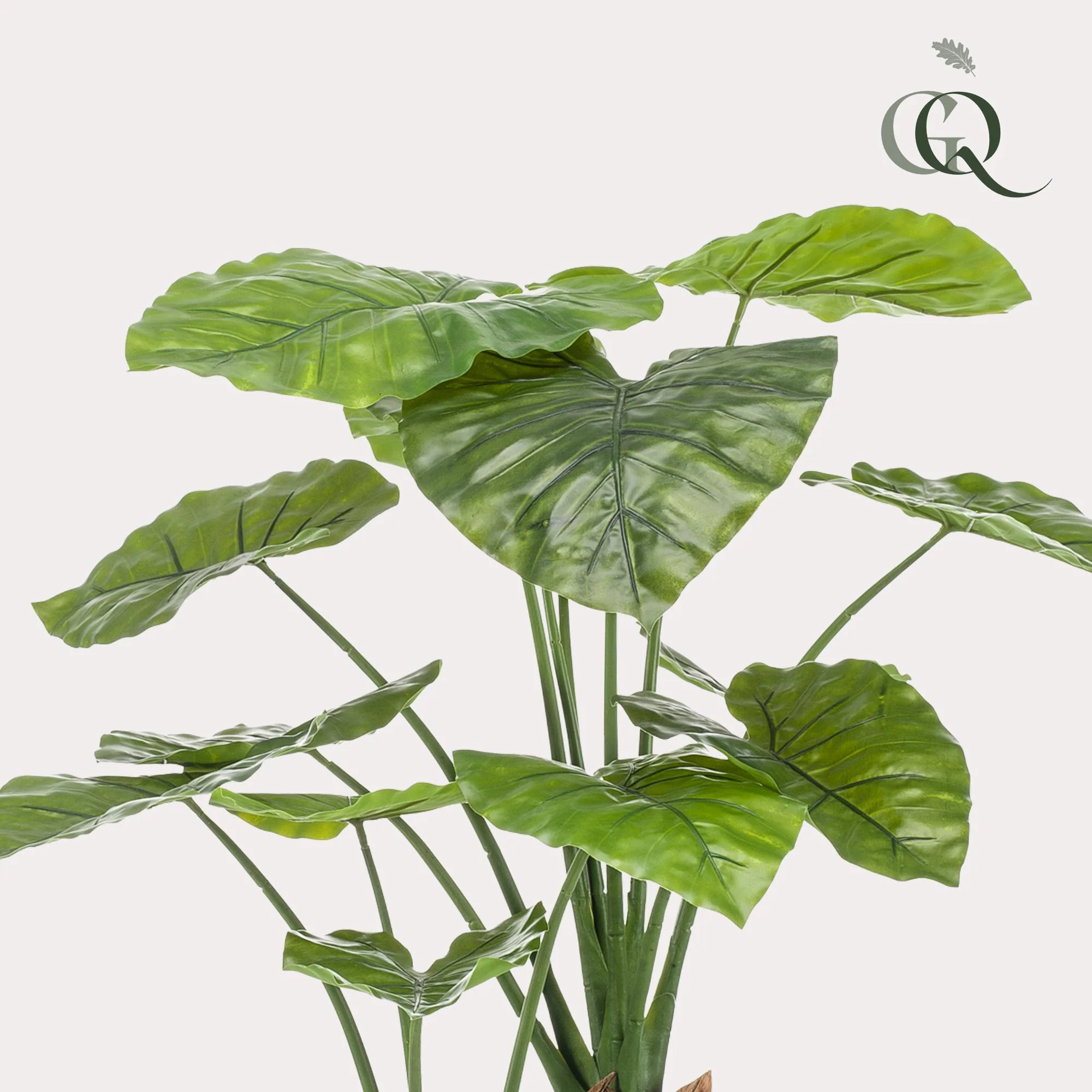 Alocasia Kunstpflanze – Pflegeleicht und dekorativ