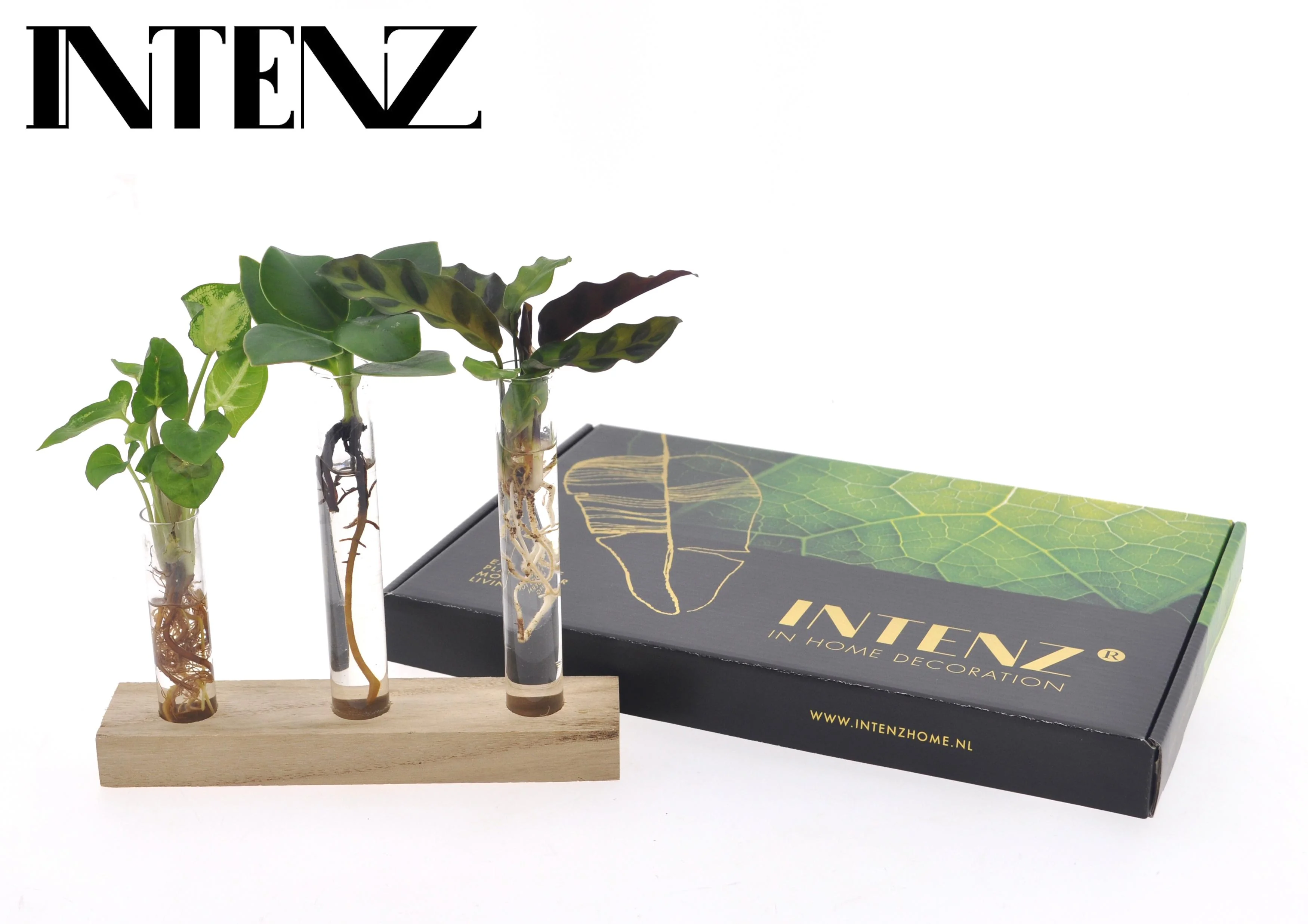 Brievenbuspaket Hydroponie für Pflanzenzucht