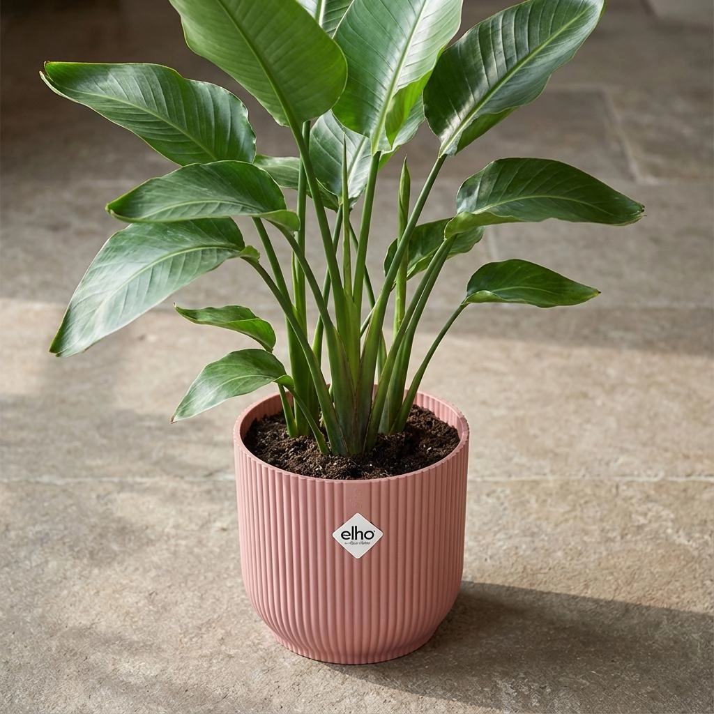 ELHO Vibes Fold 14cm roze Bild 4