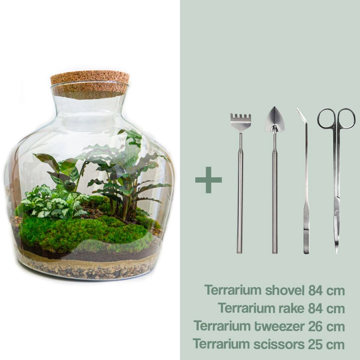 Flaschengarten - Fat Joe - ↕ 30 cm - Rake + Shovel + Tweezer + Scissors Bild 1