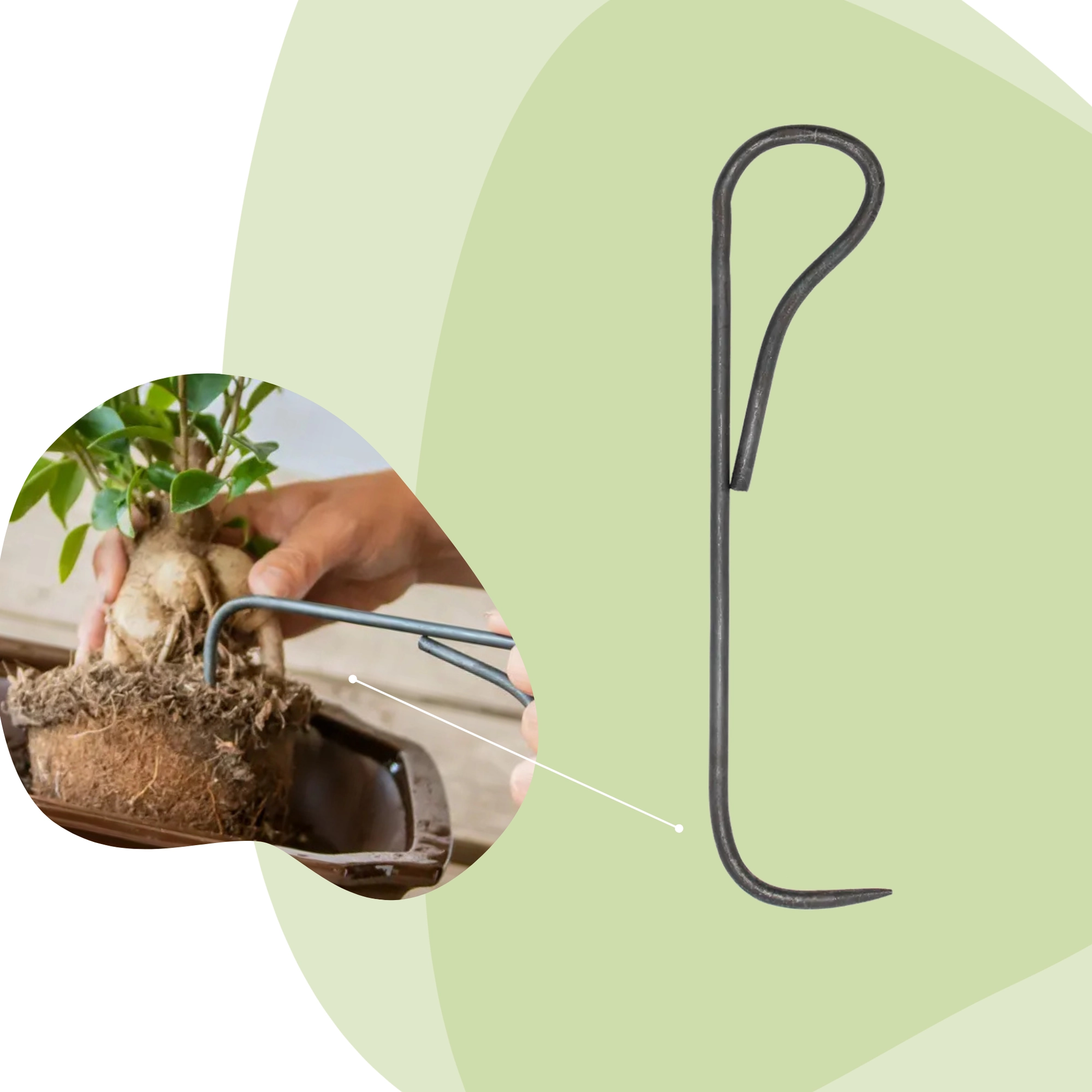 Bonsai root hook - 20,5 cm - Bonsai tool Bild 1
