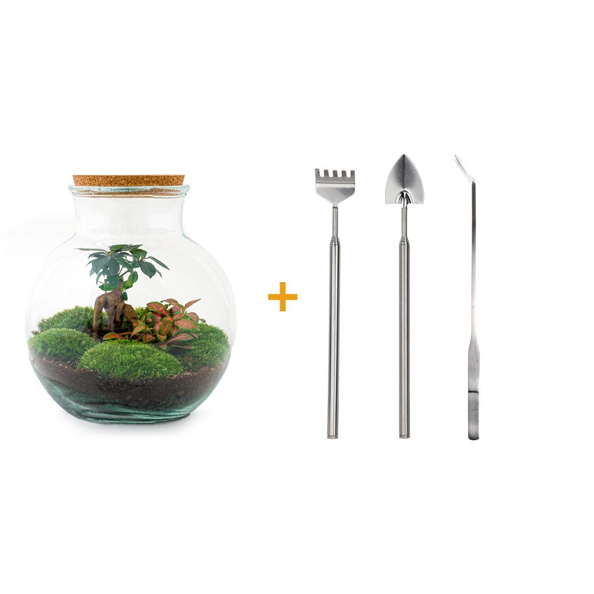 Do-It-Yourself Flaschengarten Set