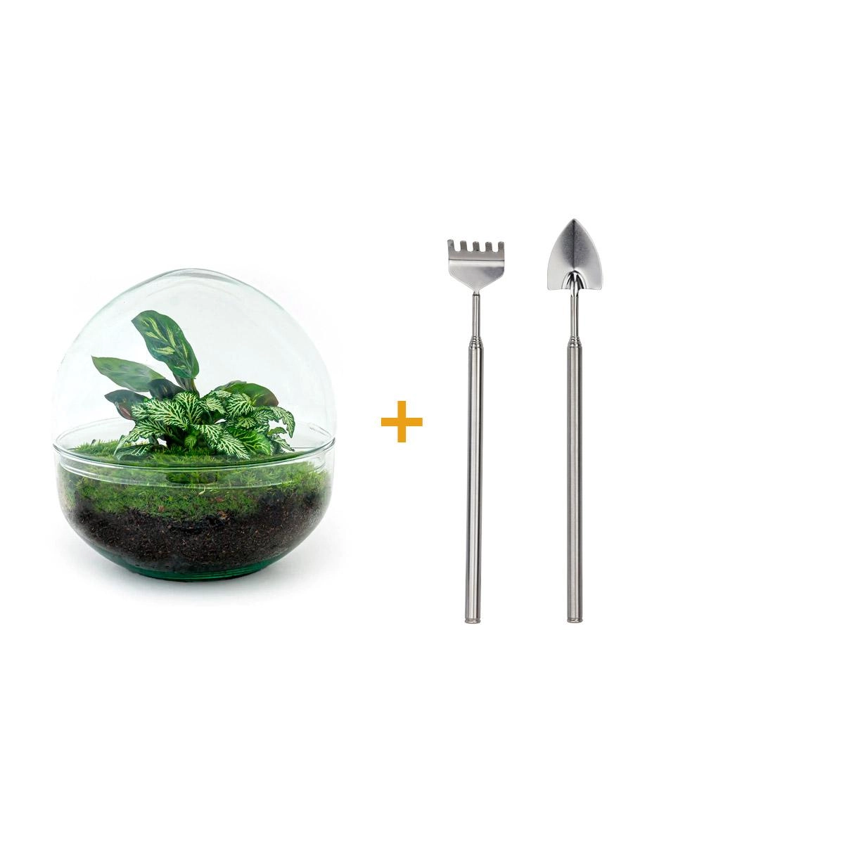 Flaschengarten - Dome - ↕ 20 cm - Rake + Shovel + Tweezer Bild 1
